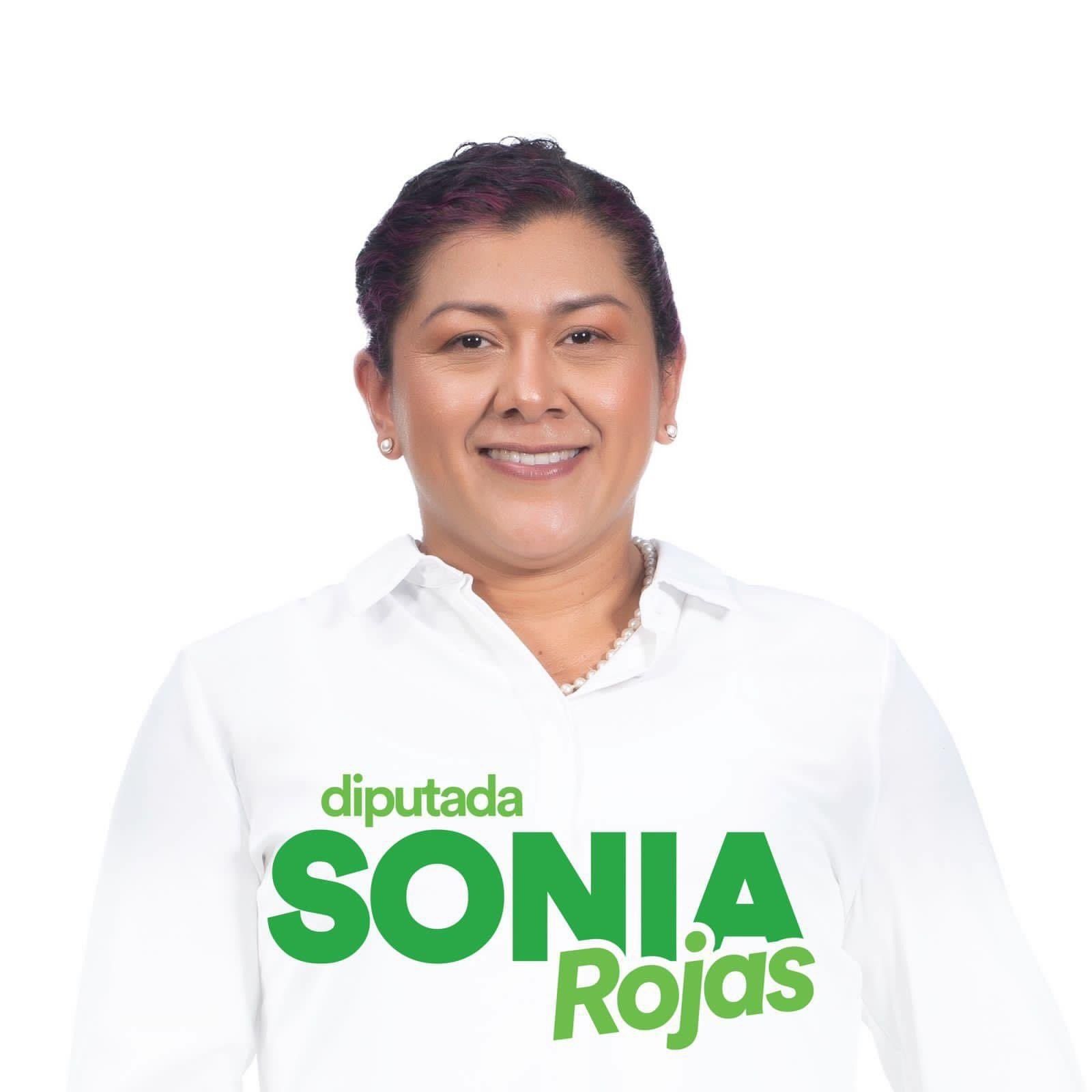 Diputada Sonia Rojas Méndez, Partido Liberación Nacional / Jueves 28 de julio