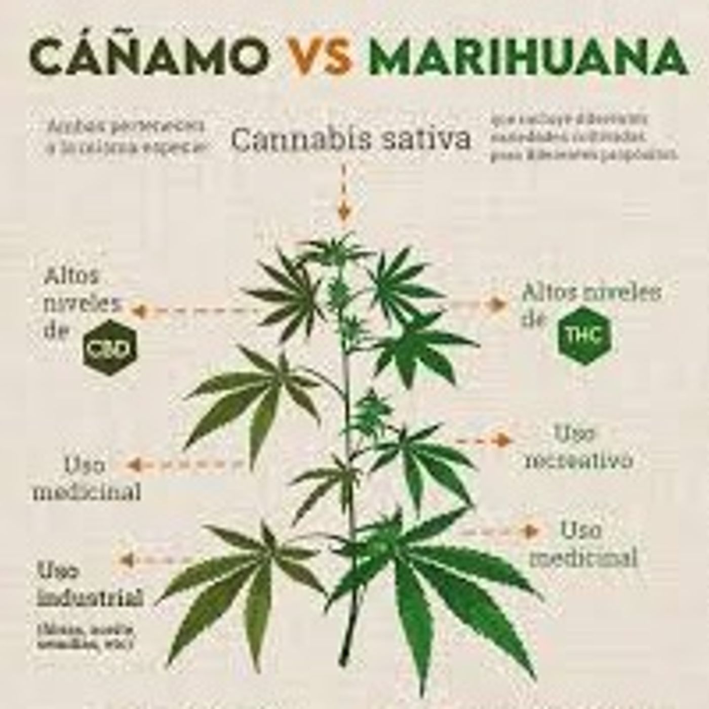 Portada de Nuestra Voz
