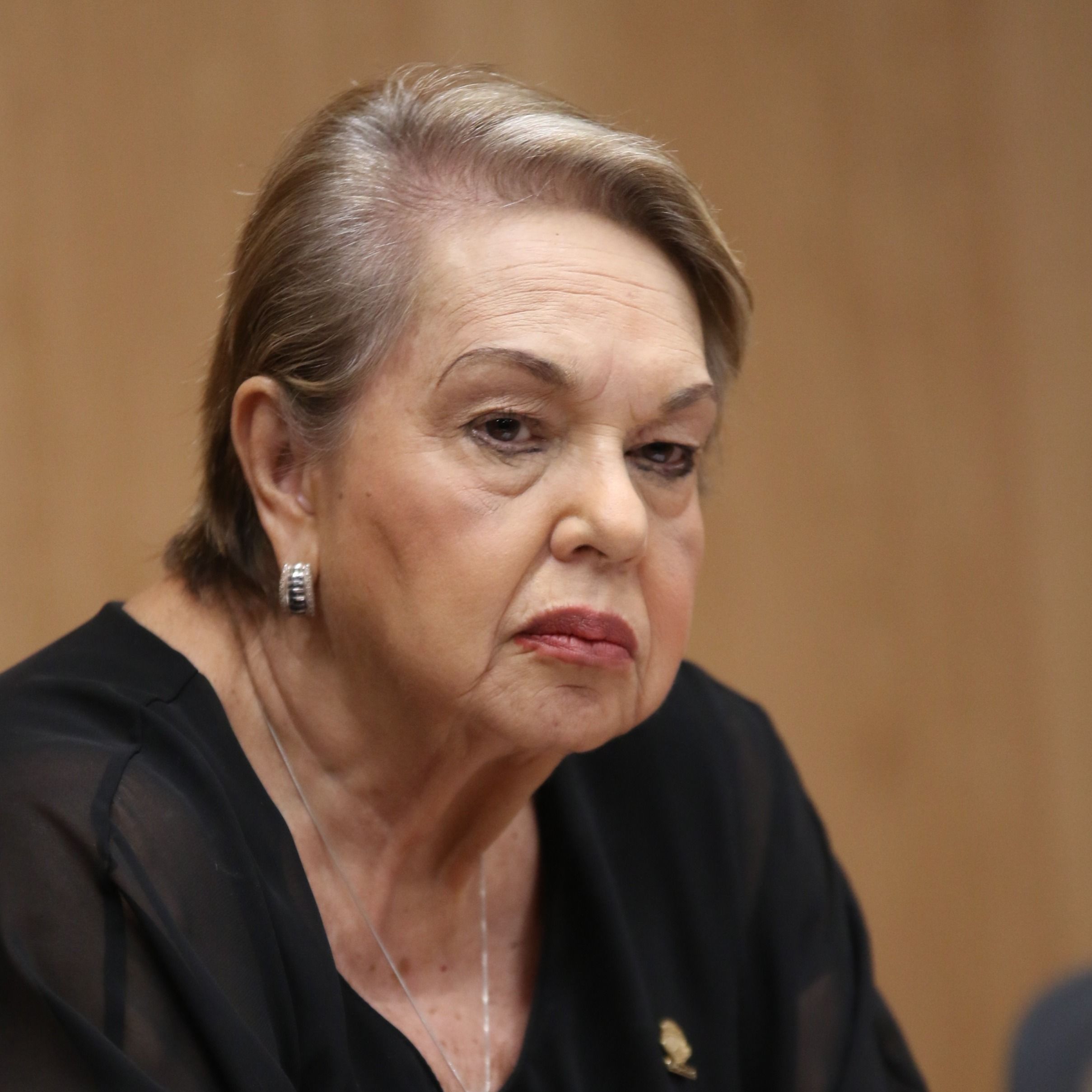 Diputada Gloria Navas, Presidenta Comisión Seguridad y Narcotráfico / Miércoles 31 de mayo episode artwork