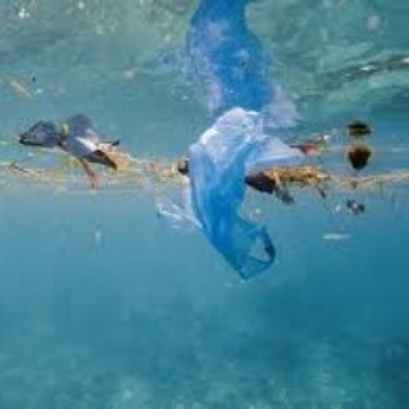 Vecinos de Cipreses de Curridabat se unen para exigir solución a contaminación de aguas / Viernes de Junio.