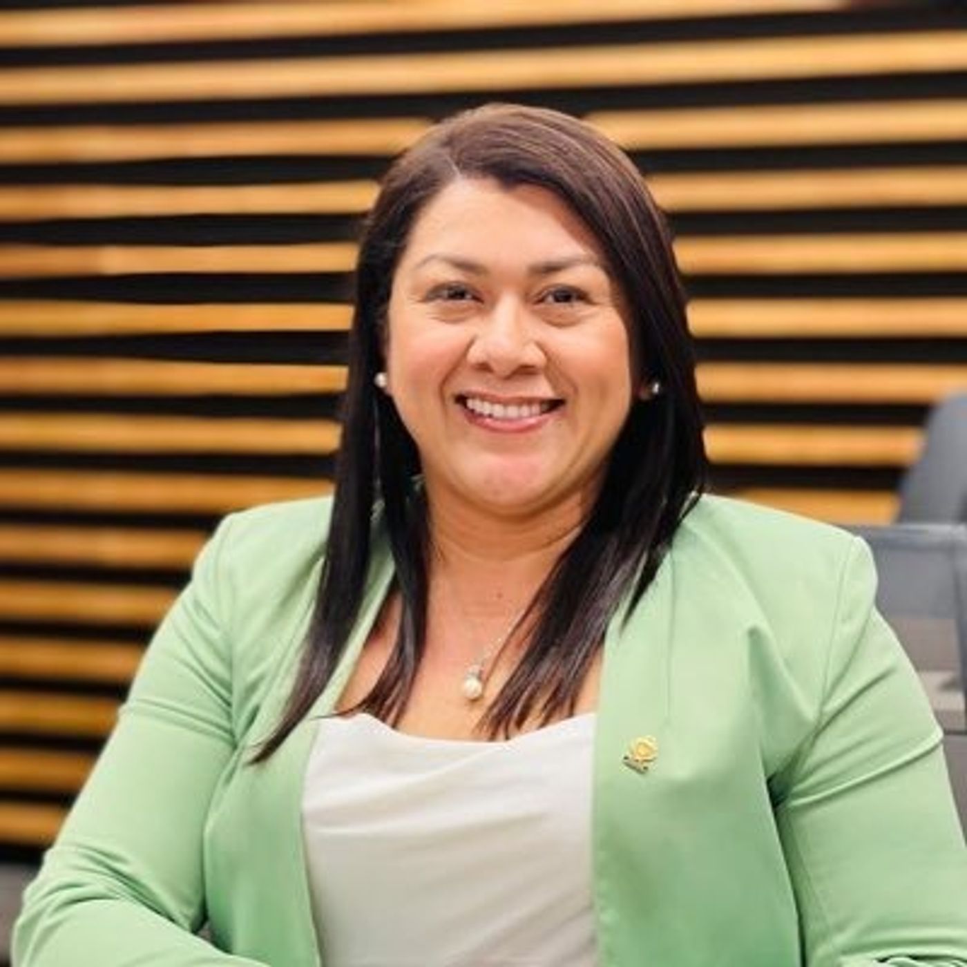 Sonia Rojas, Diputada Partido Liberación Nacional / Lunes 24 de abril 2023 episode artwork