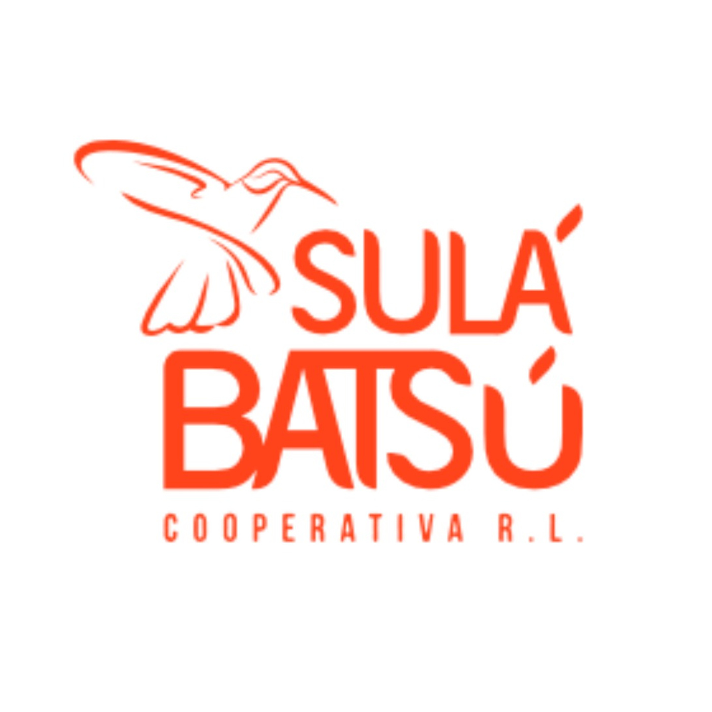 Portada de Nuestra Voz