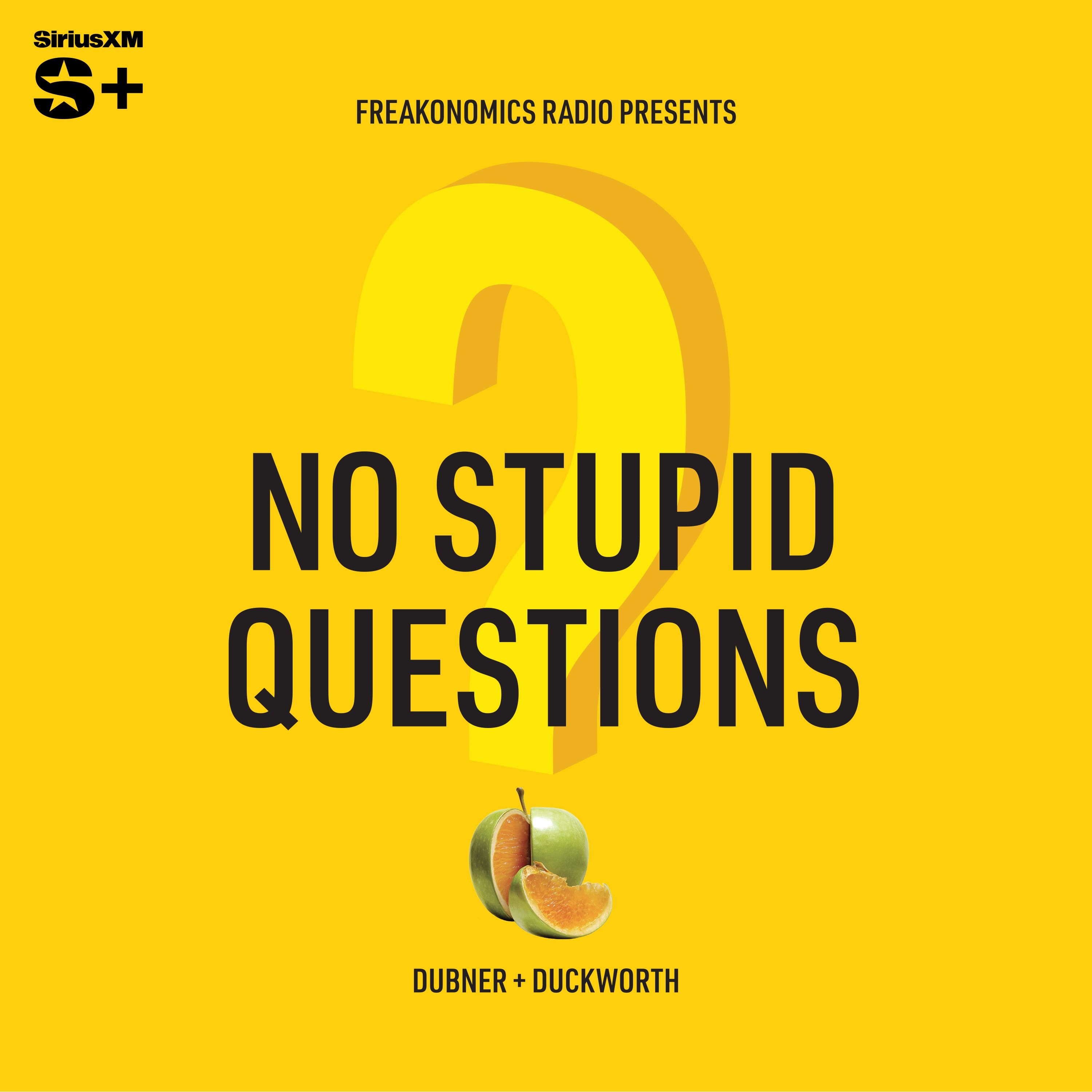 No Stupid Questions  | SiriusXM Podcasts+ podcast tile