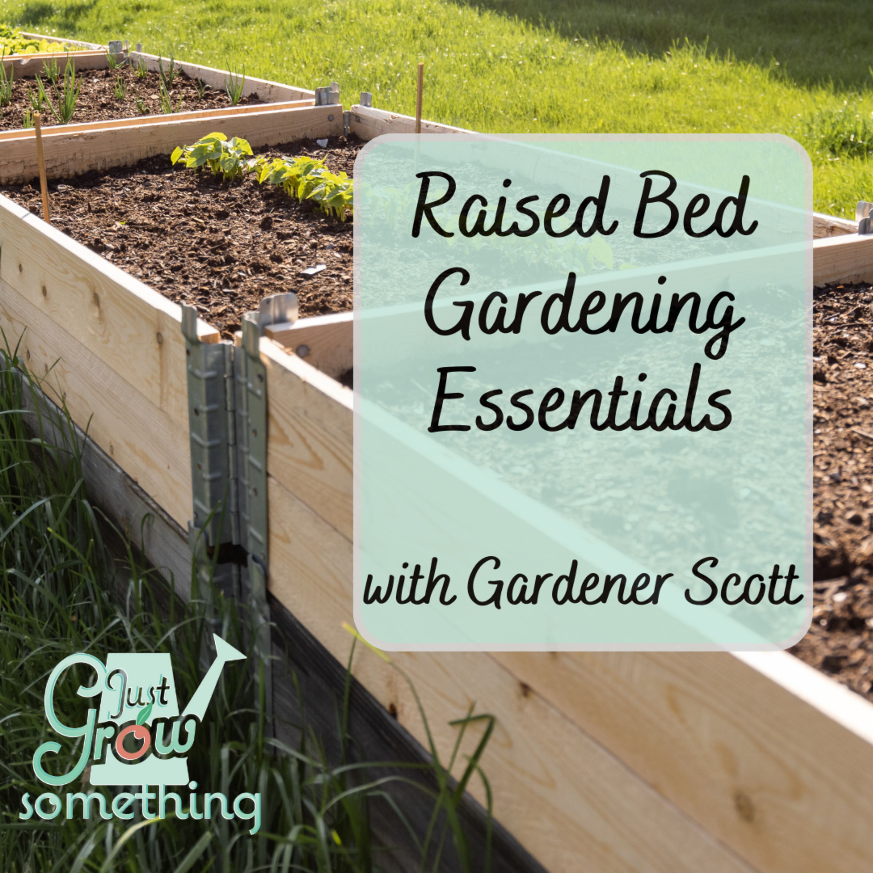 Raised Bed Gardening with Gardener Scott - Ep. 268