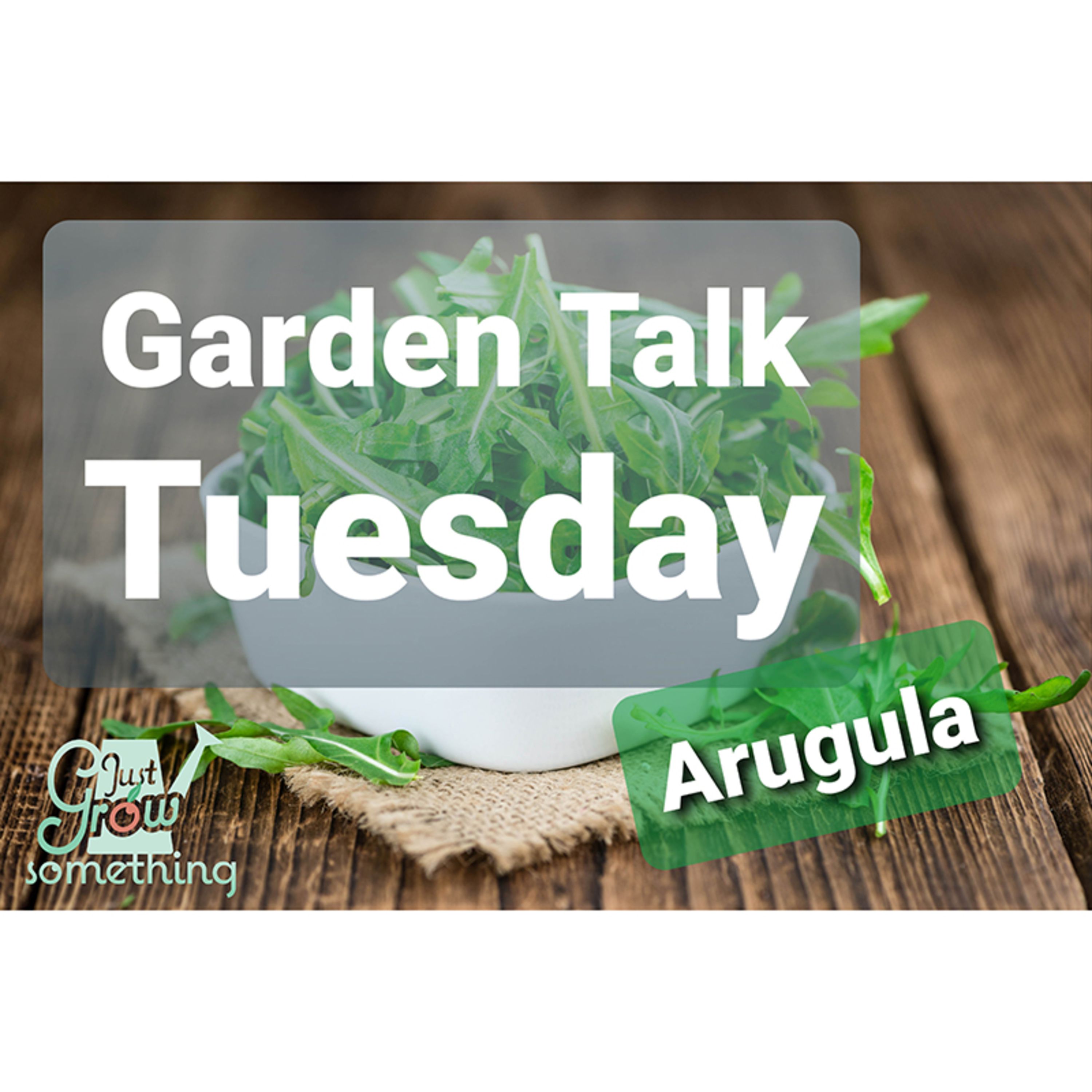 Ep. 54 - Arugula