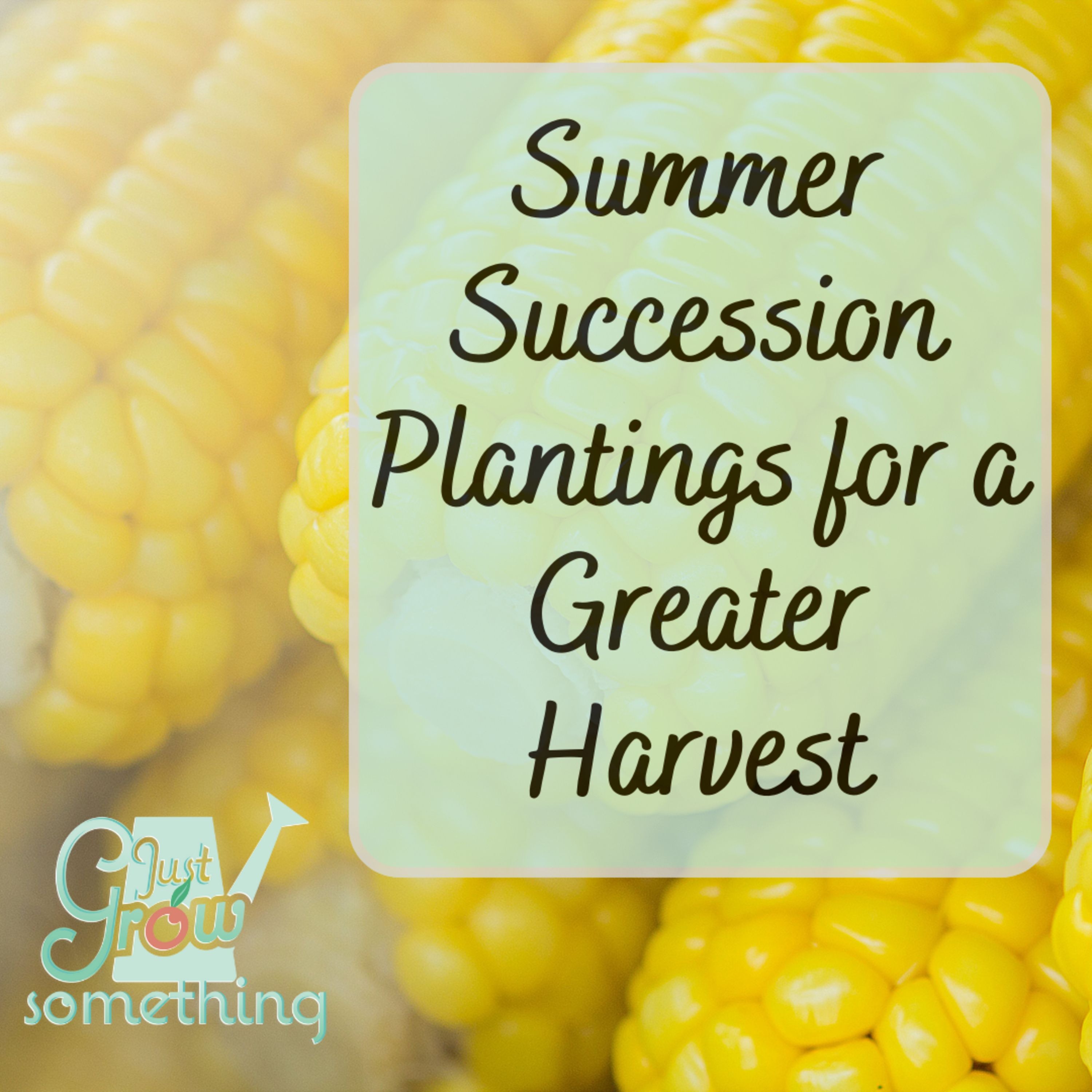 Summer Succession Planting for a Greater Harvest - Ep. 204