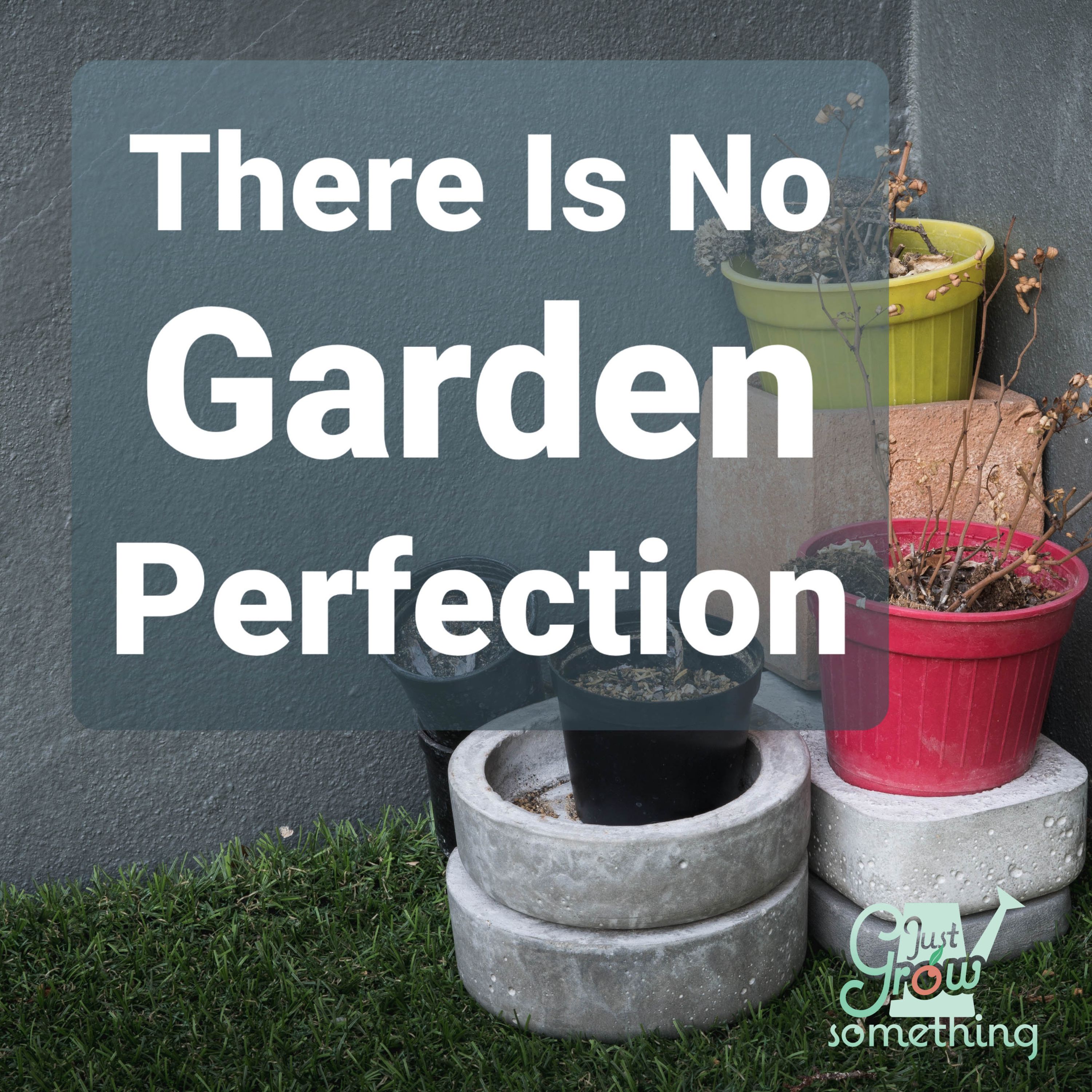 Ep. 49 - There is No Garden Perfection: Total Transparency and an Origin Story