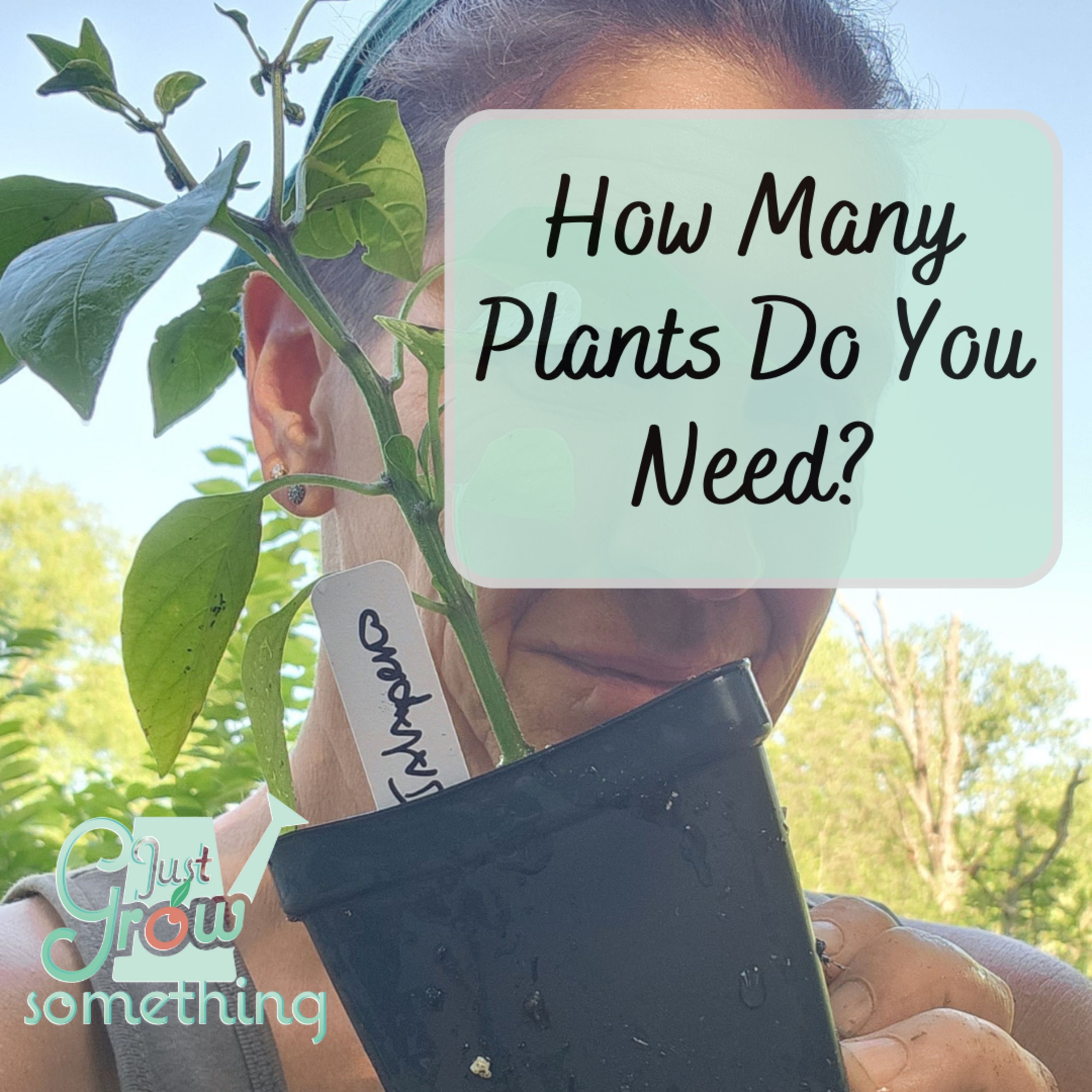 How Many Plants Do You Need? - Ep. 232