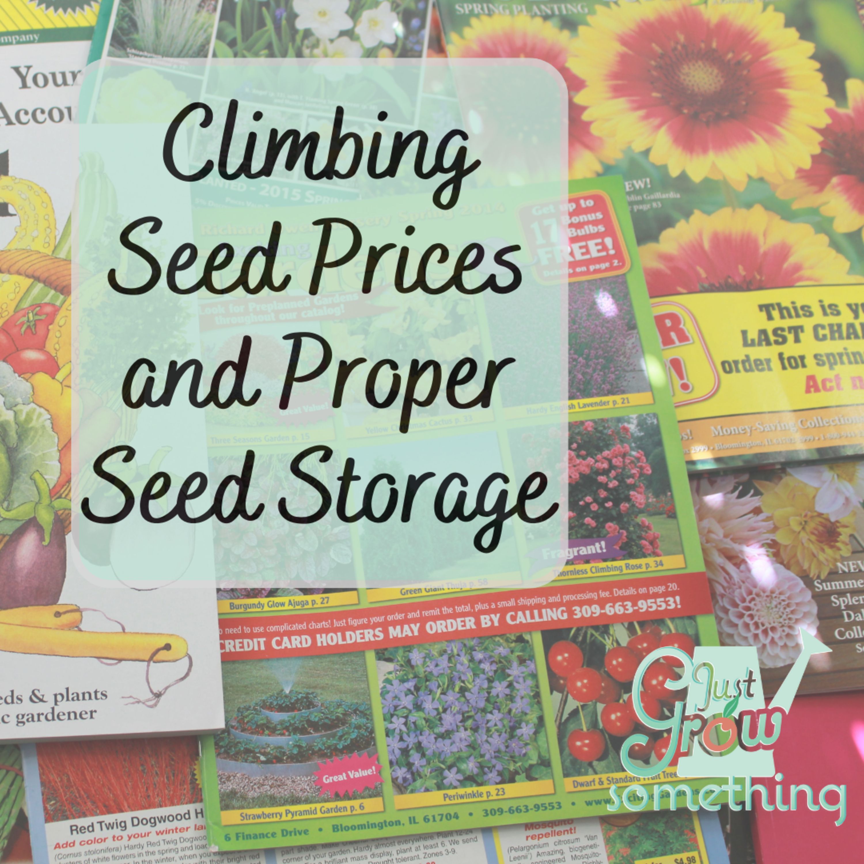 Climbing Seed Prices and Proper Seed Storage - Ep. 173