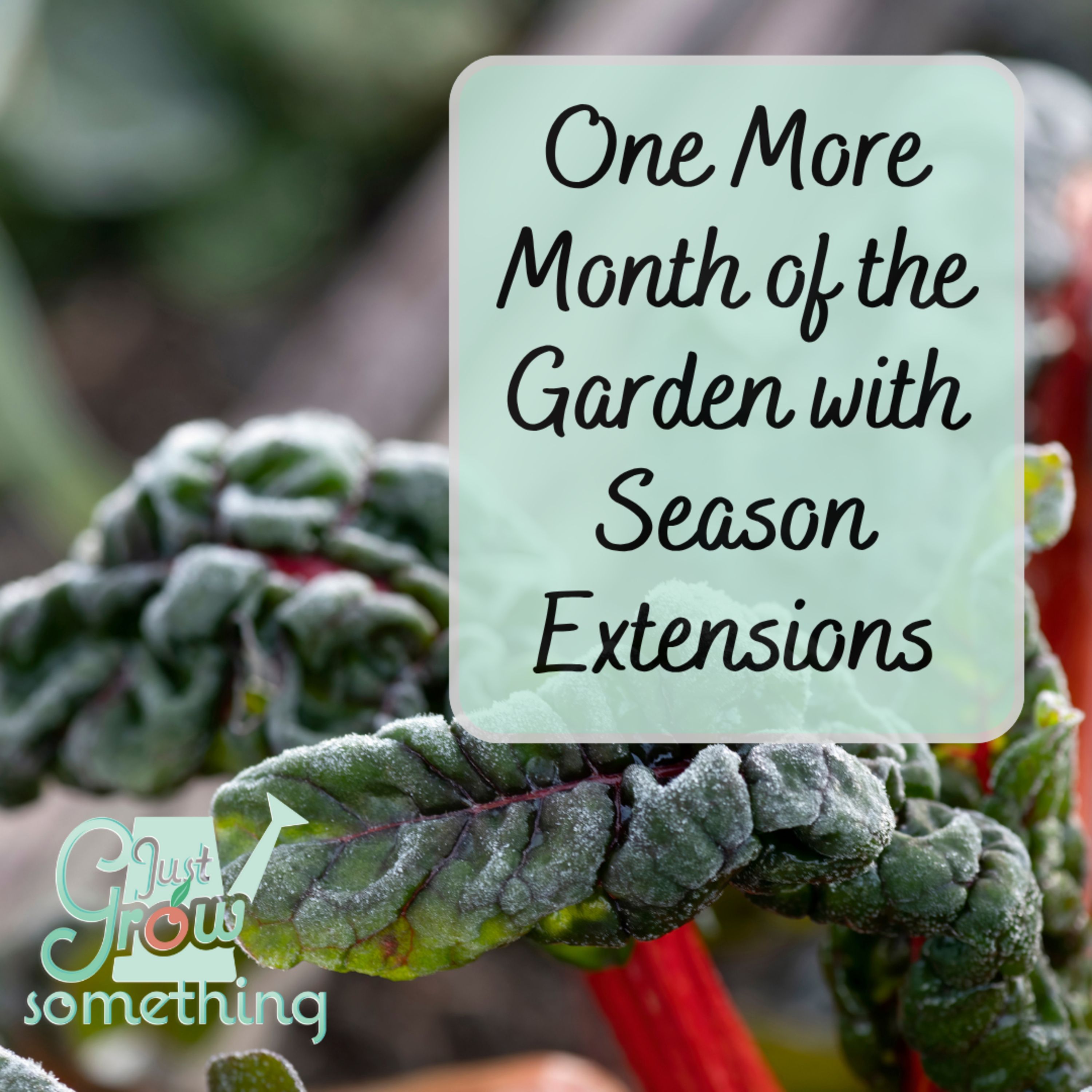 One More Month of Harvests - Ep. 274