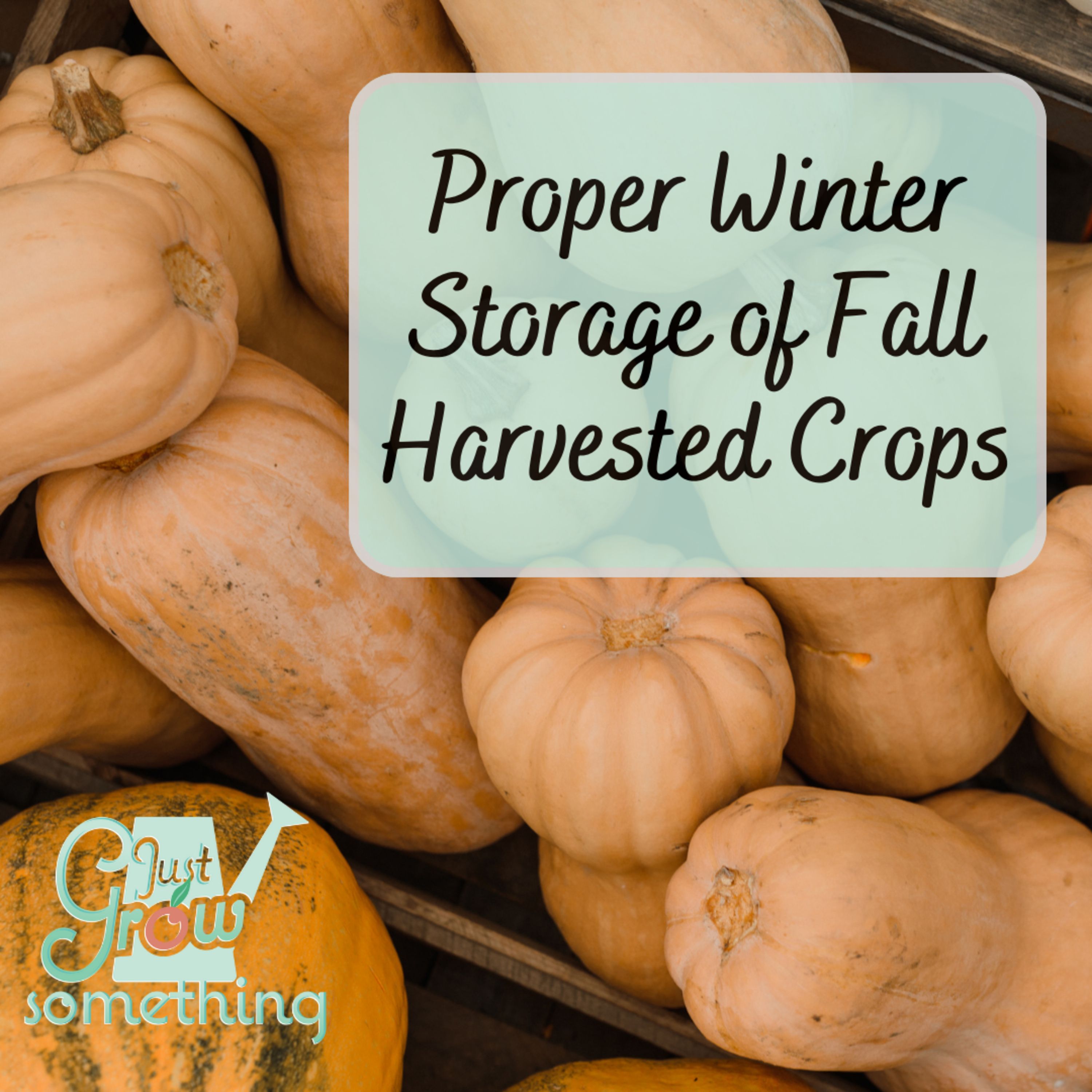 Winter Produce Storage: Tips for Keeping Your Fall Harvest Fresh Through the Cold Months - Ep. 225