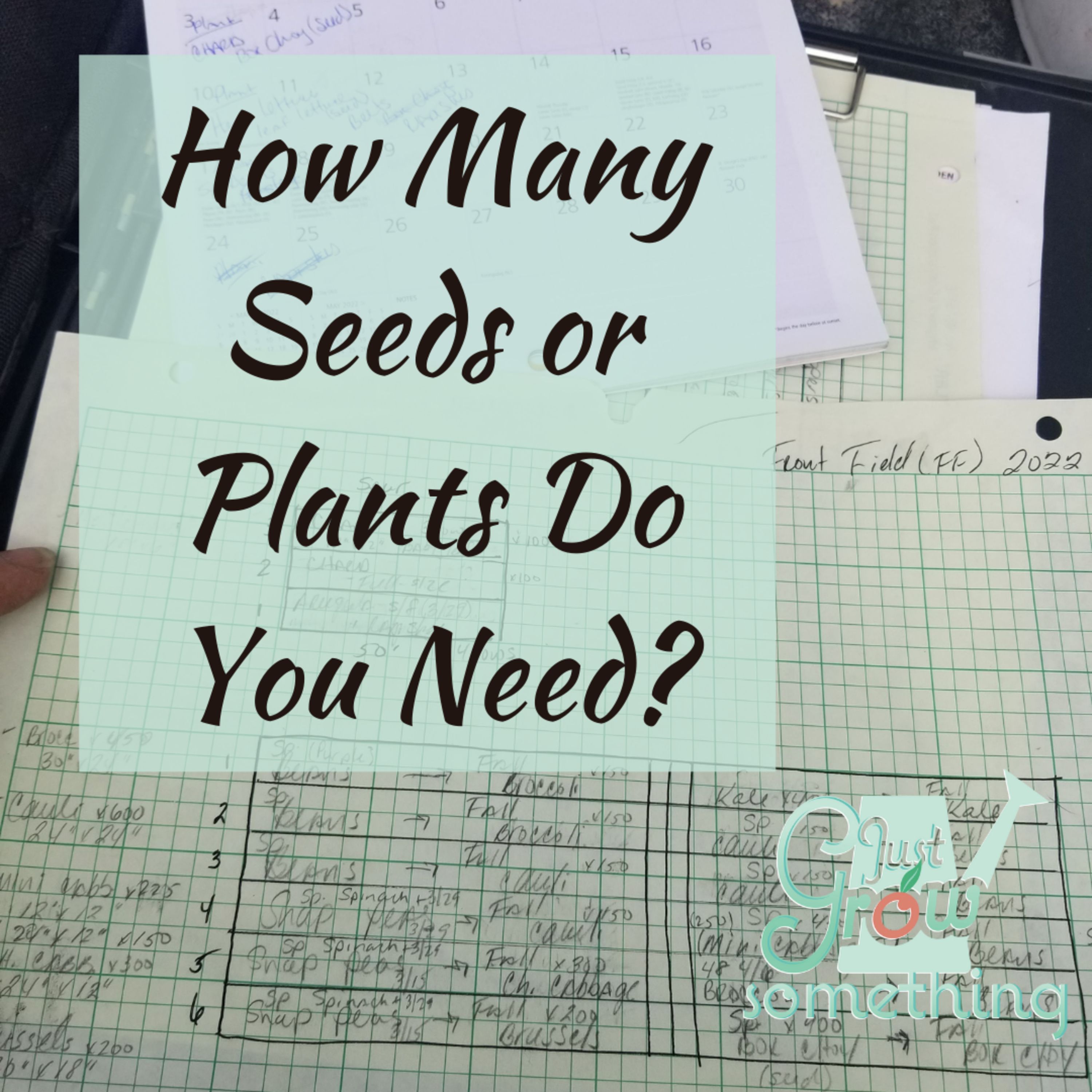 Ep. 86 - How Many Seeds or Plants Do You Need?