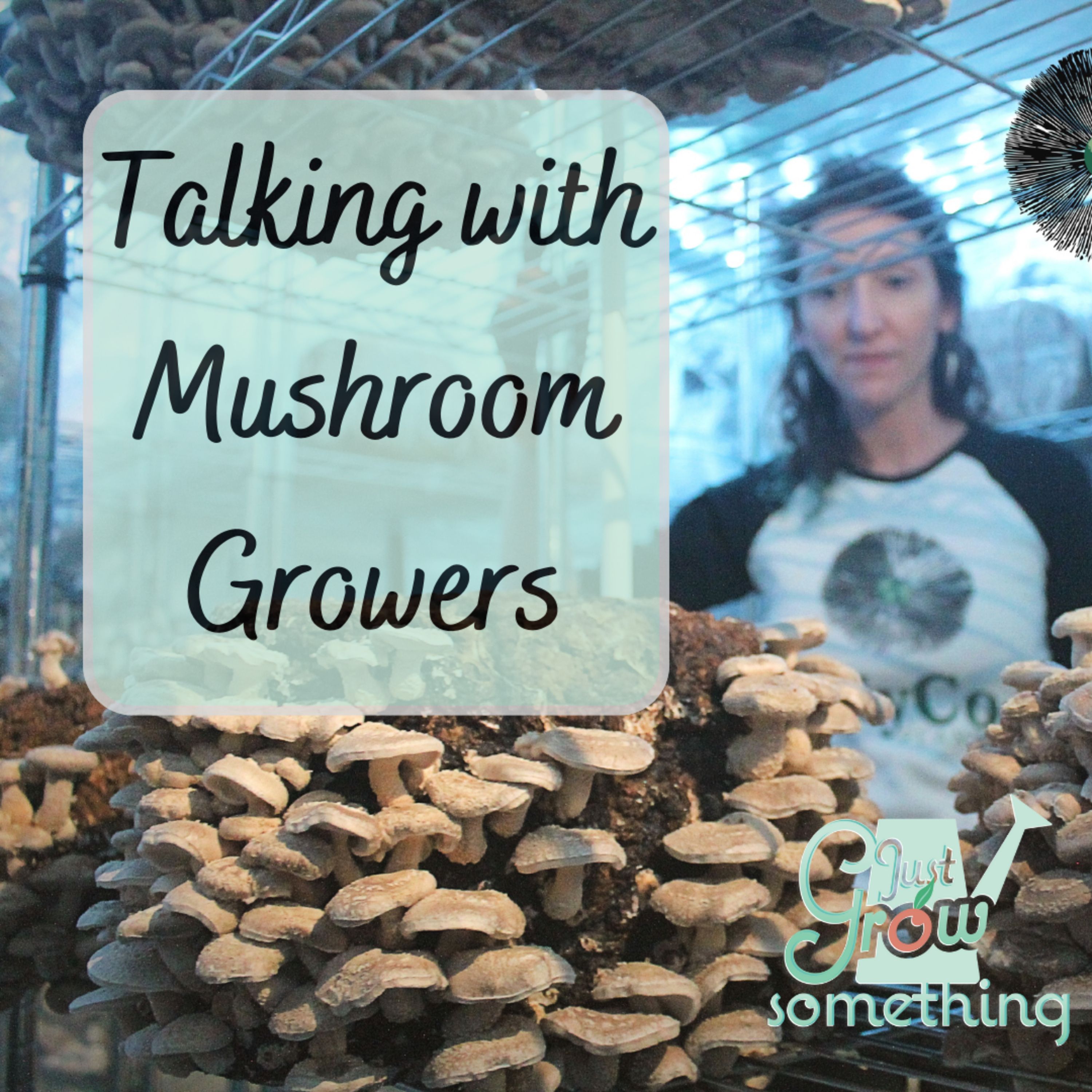 Ep. 141 - Talking with Mushroom Growers