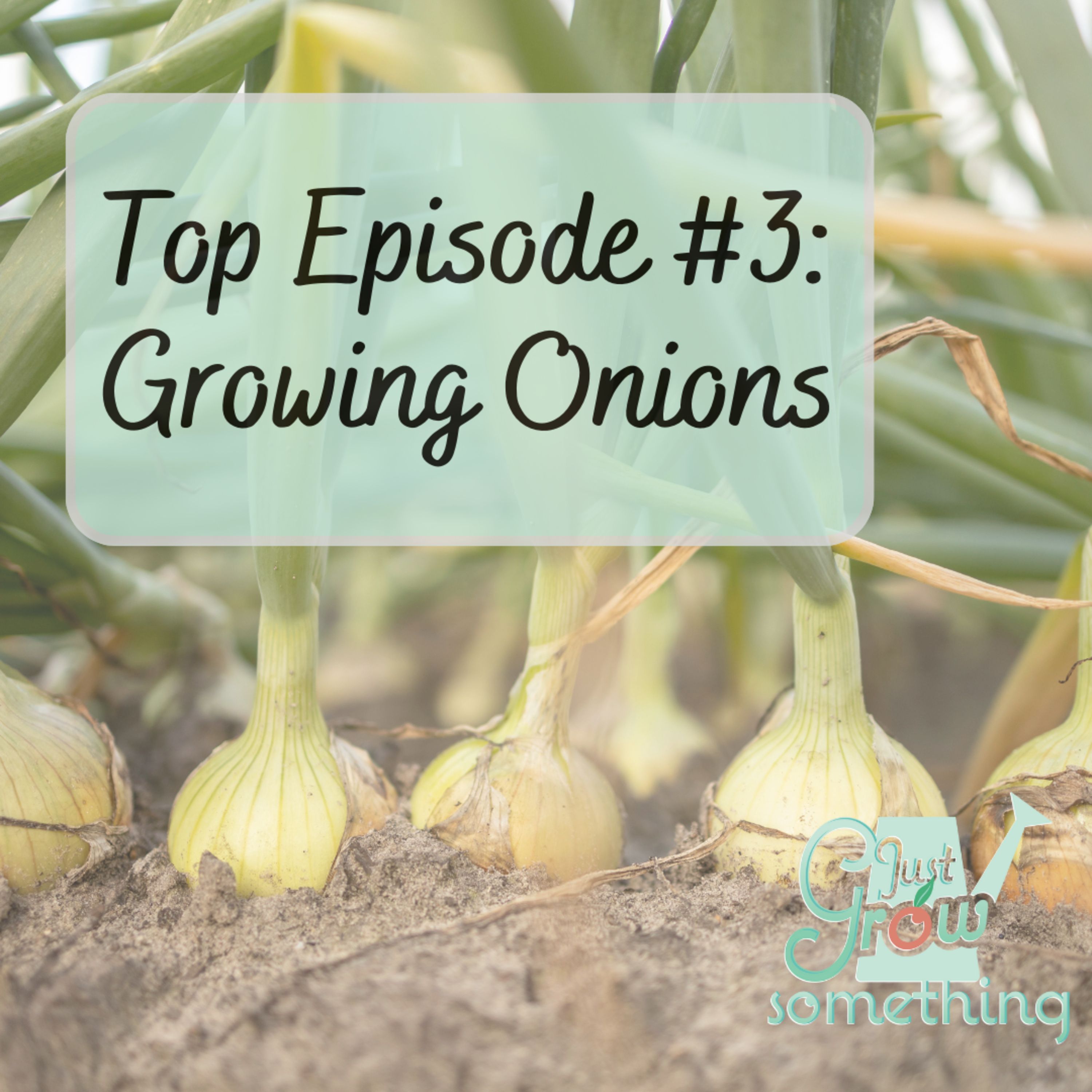 Top Episode 3: Growing Onions - Ep. 175