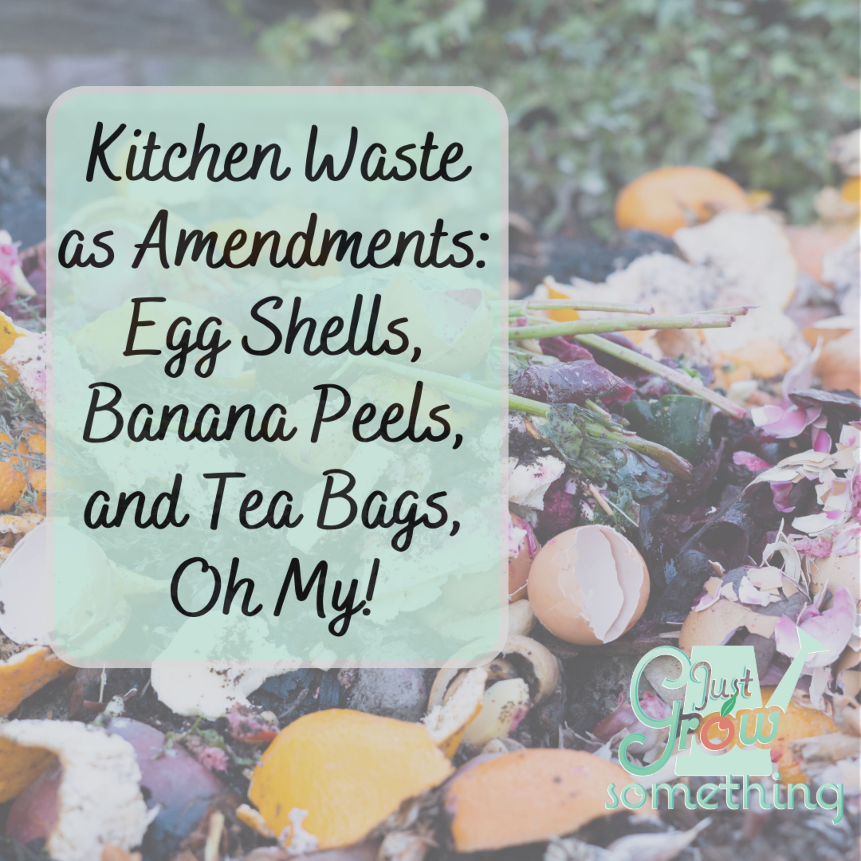 Ep. 145 - Kitchen Waste as Plant Food: Egg Shells, Banana Peels, and Tea Bags, Oh My!