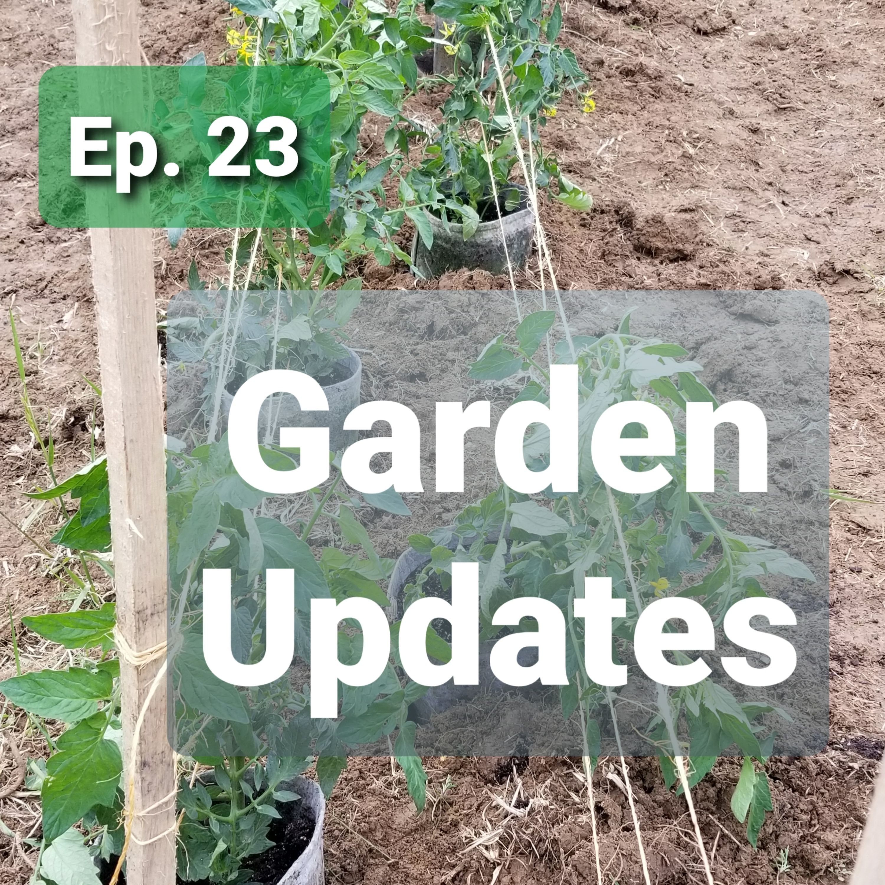 Ep. 23 - Garden Updates