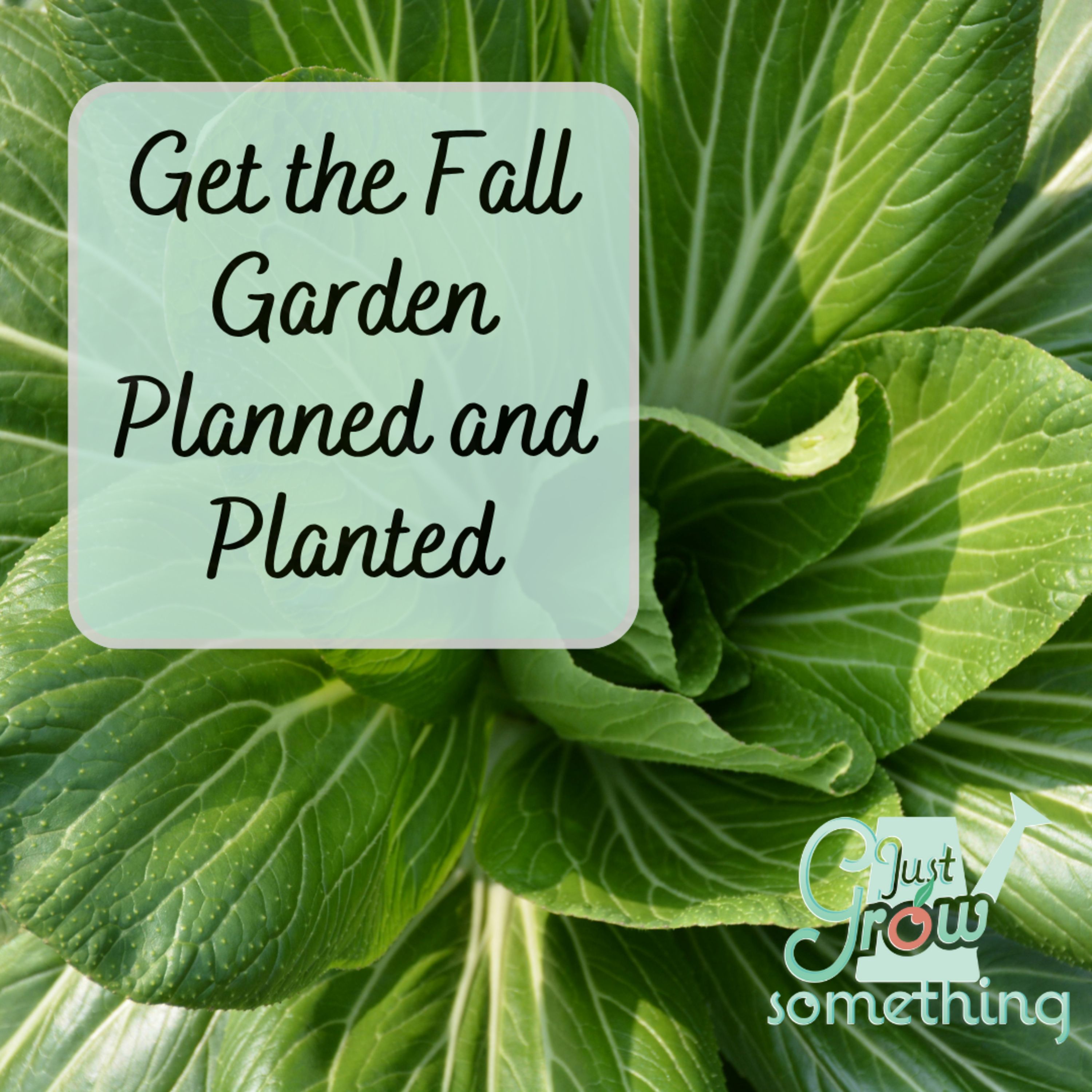 How to Extend Your Gardening Season with Successful Fall Crops - Ep. 259