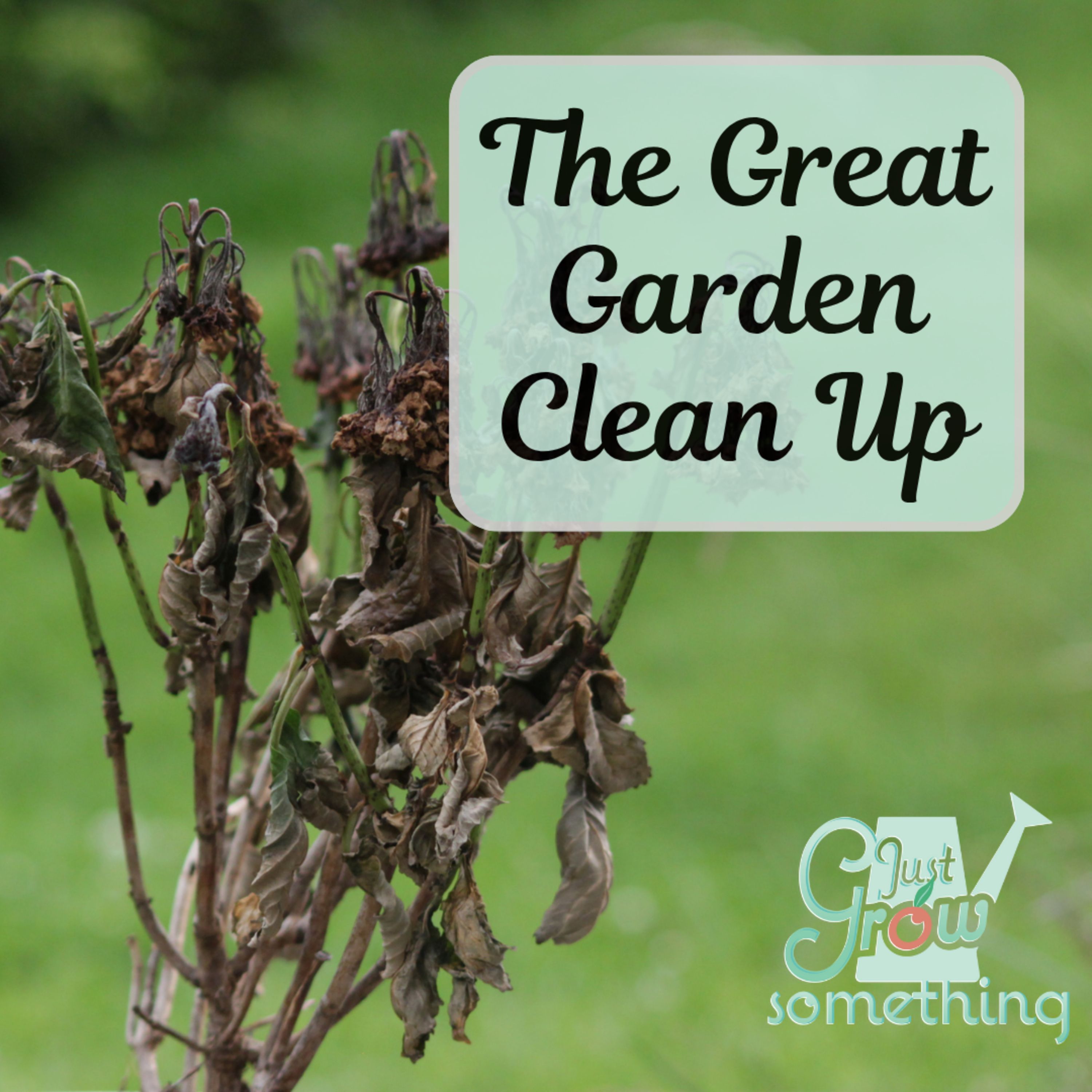 Essential Fall Garden Clean Up - Ep. 276