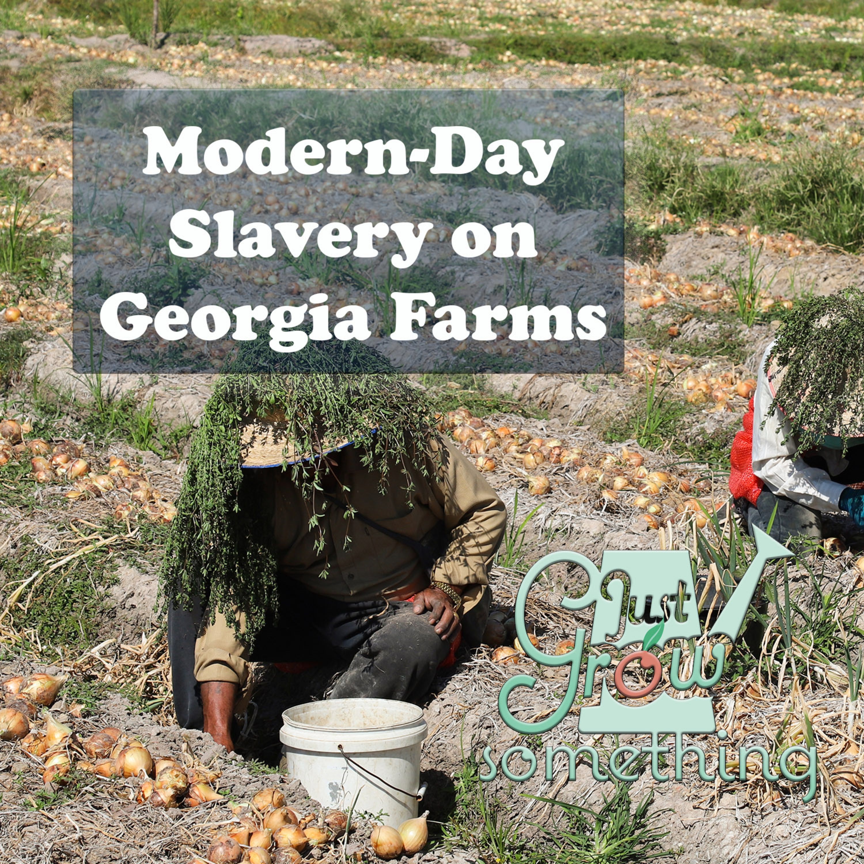 Ep. 71 - Modern-day Slavery on South Georgia Farms