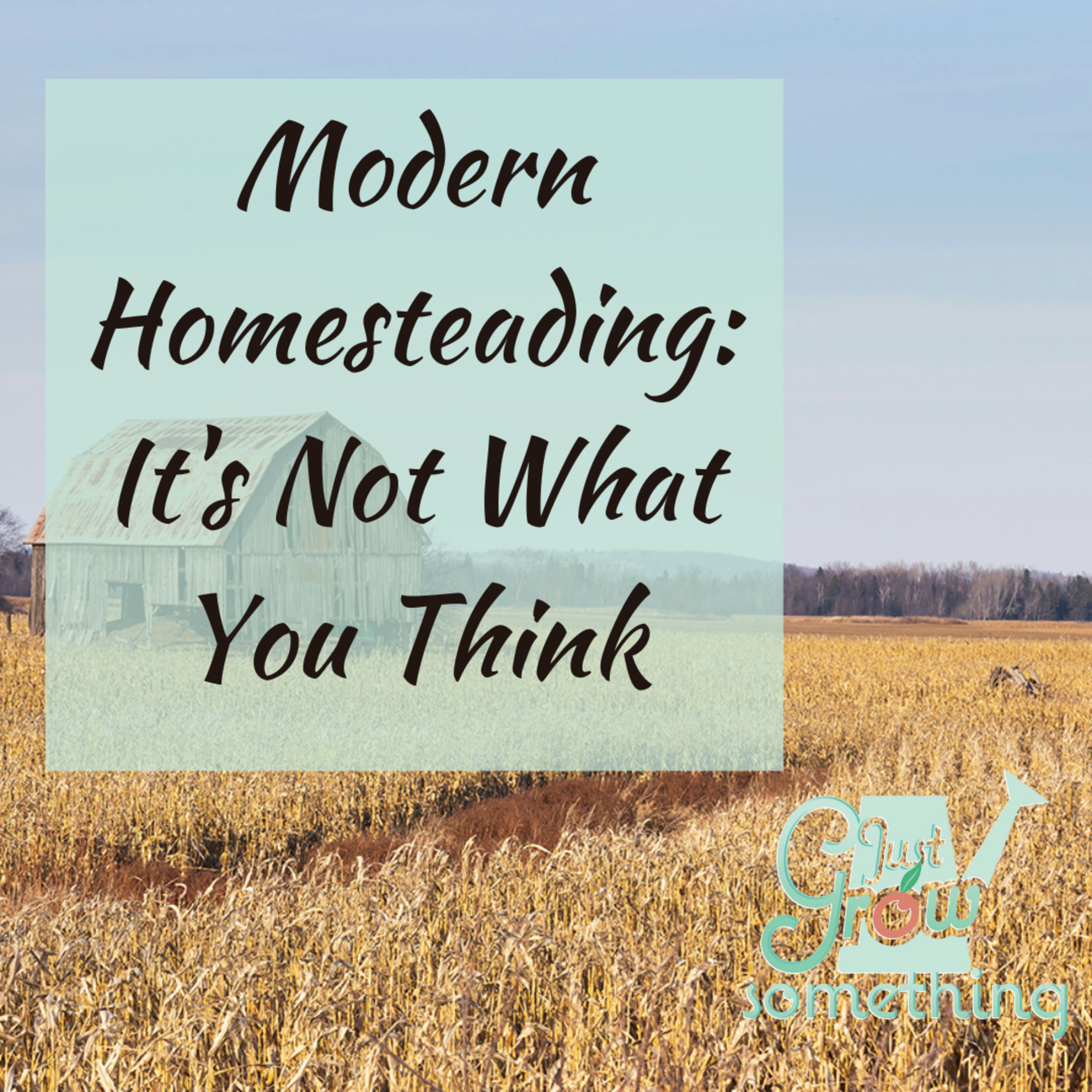 Ep. 97 - Modern Homesteading: It's Not What You Think