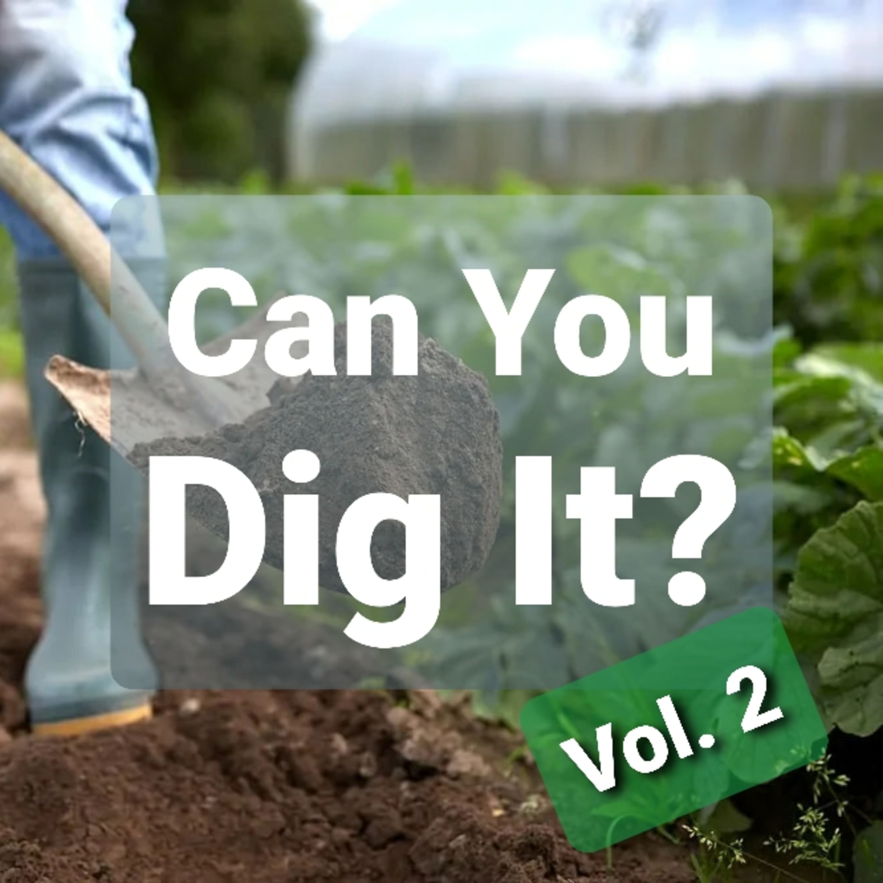 Ep. 21 - Can You Dig It? Vol. 2