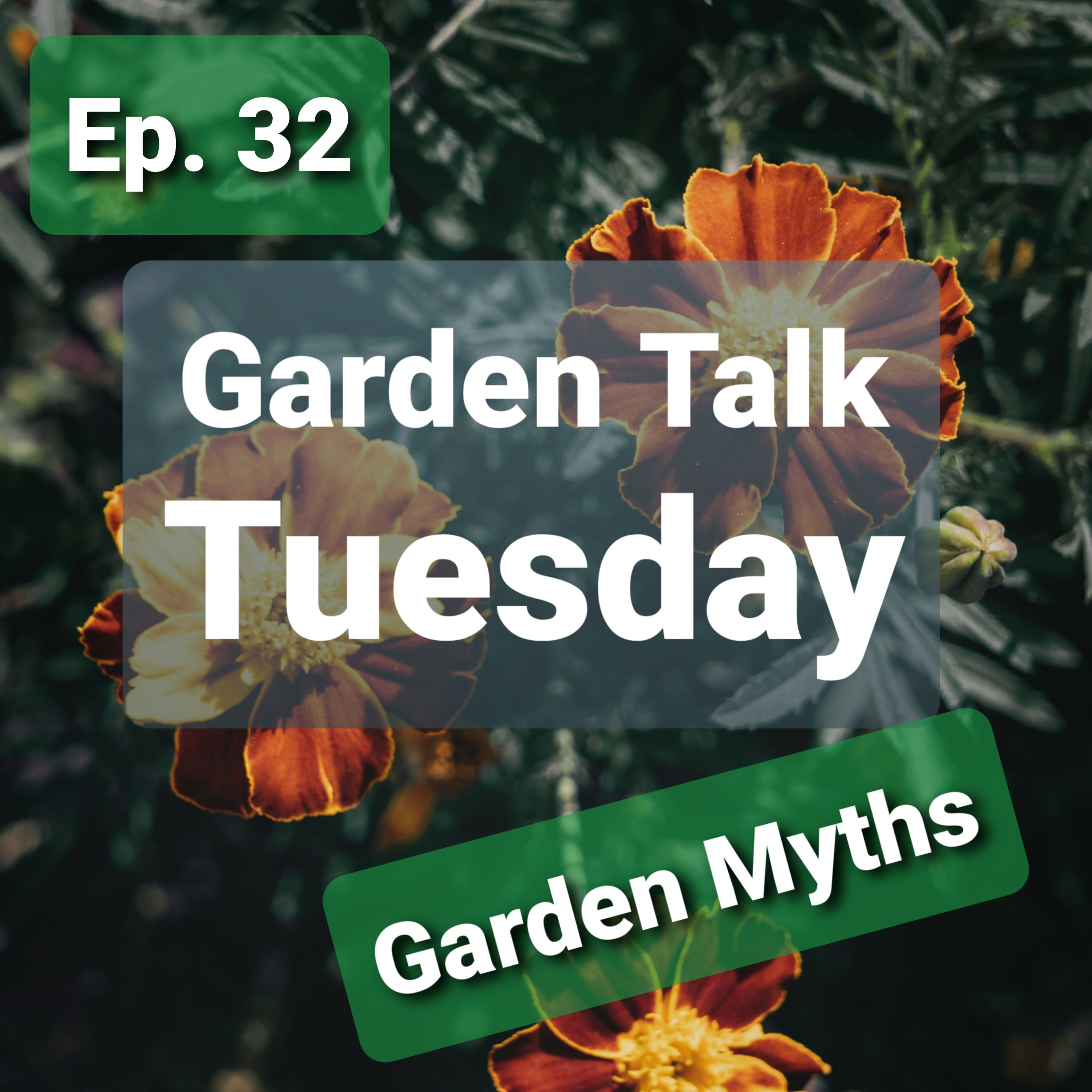 Ep. 32 - Garden Talk Tuesday: Garden Myths! True, False, or ... Maybe??