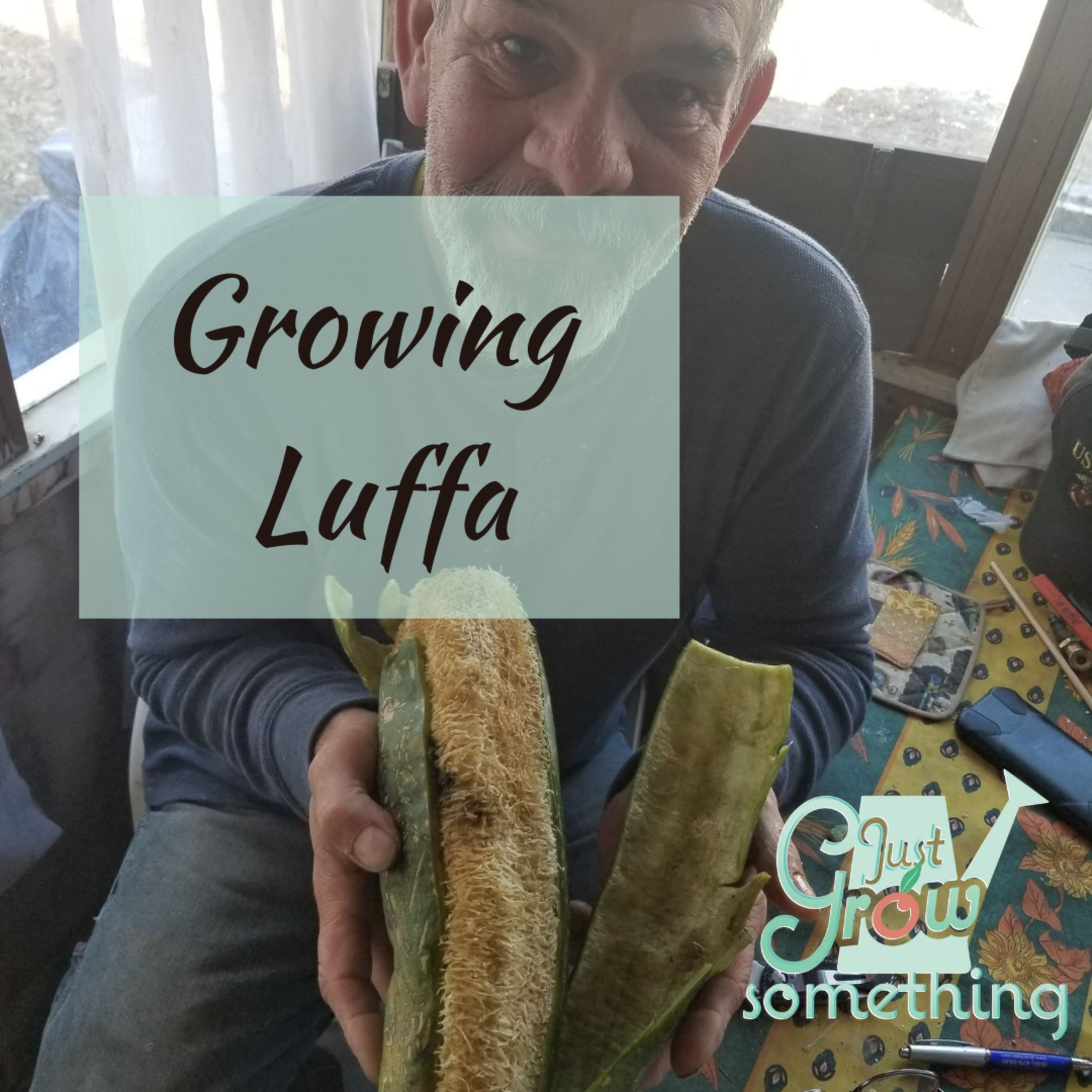 Ep. 83 - Growing Luffa