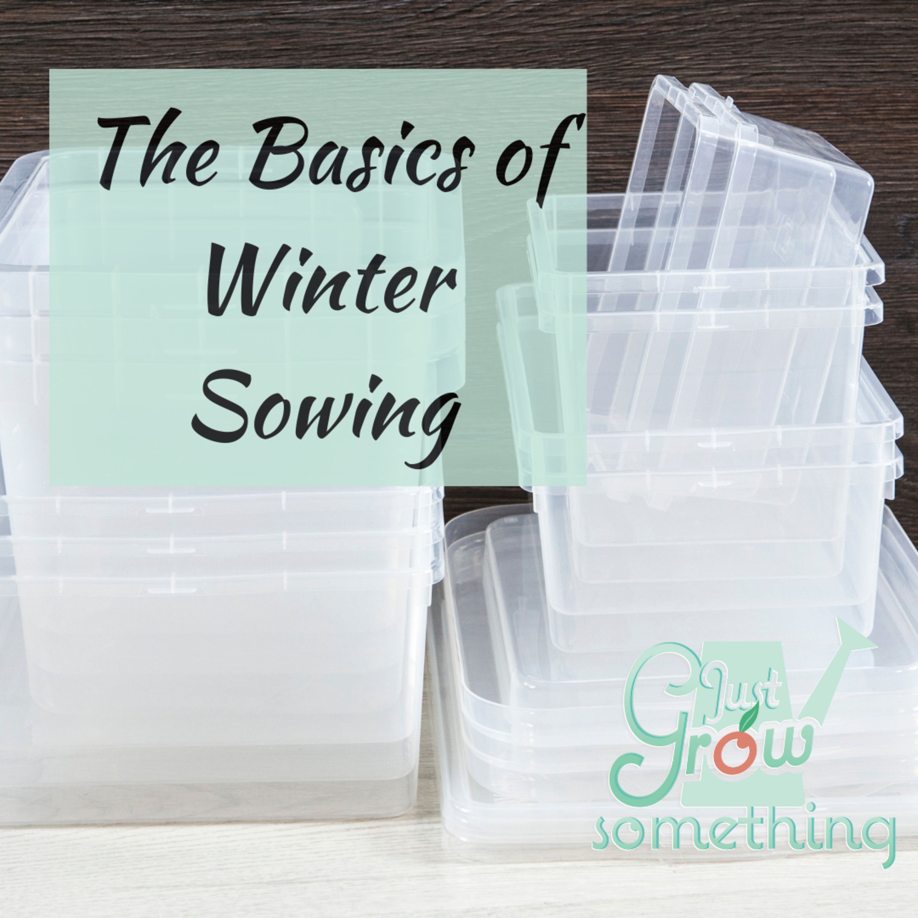 Ep. 131 - The Basics of Winter Sowing: Seed Starting Outdoors