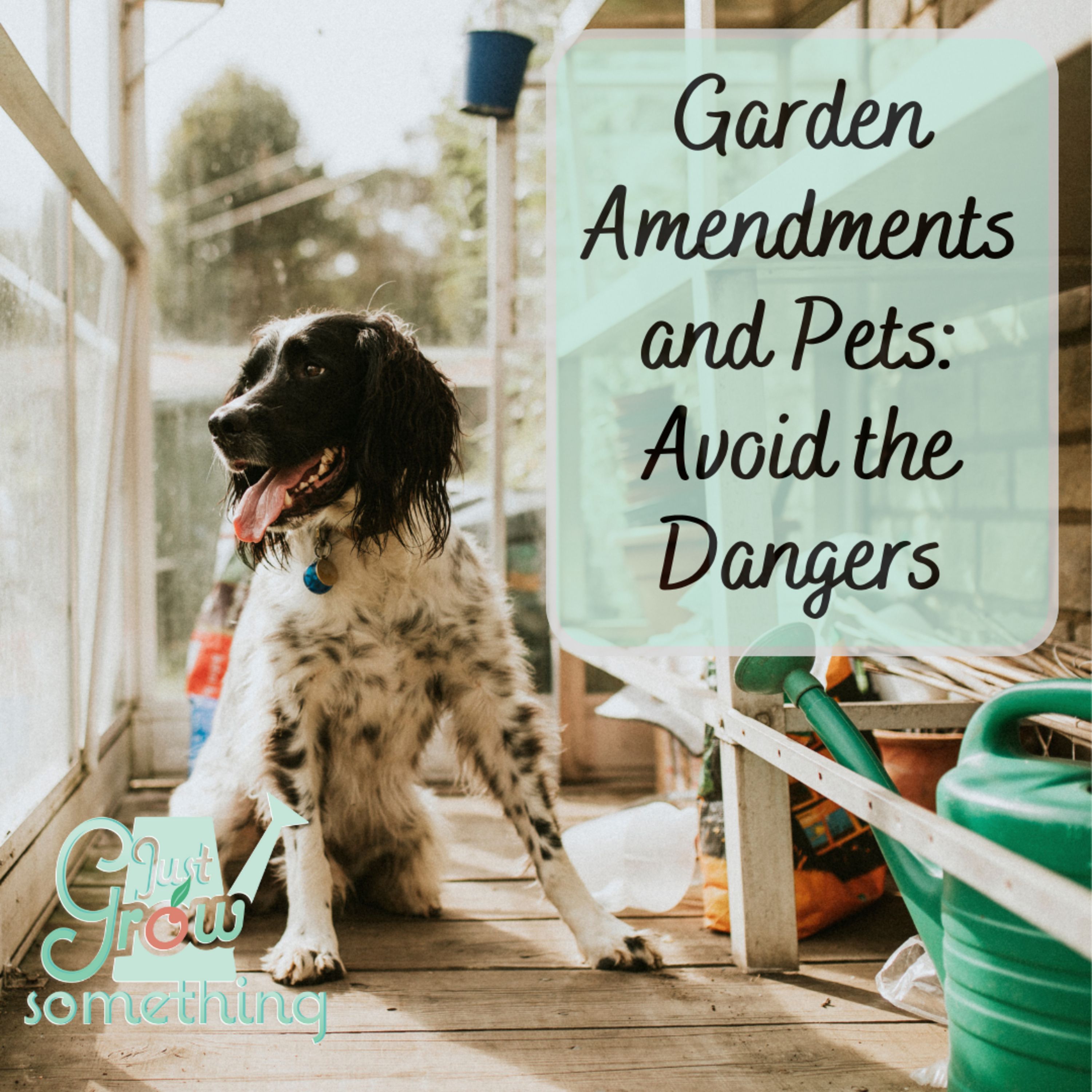 Garden Amendments and Pets: Dangerous Mulch, Moldy Compost, Mycotoxins and More - Focal Point Friday