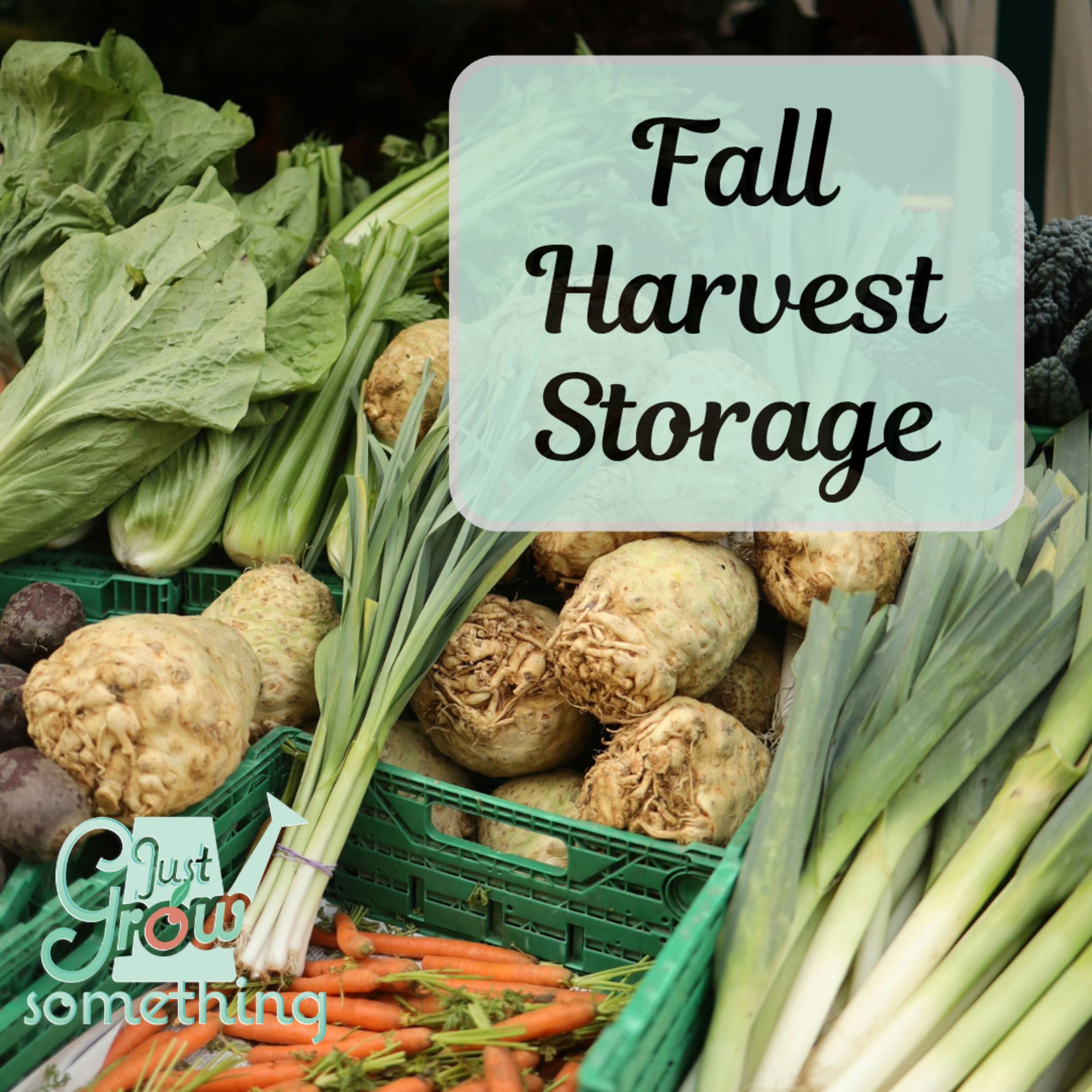 How to Store the Fall Harvest - Ep. 275