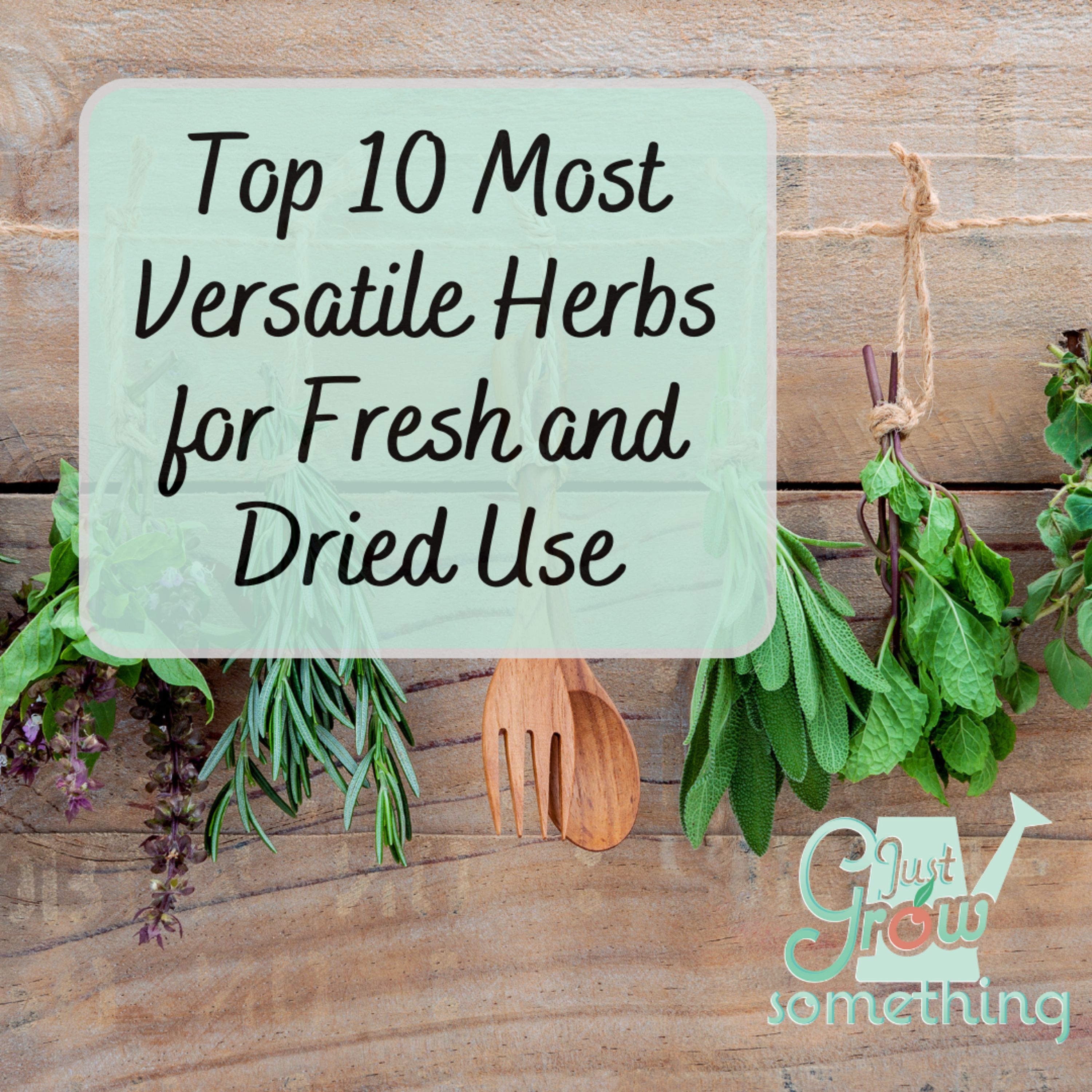 Ten Most Versatile Herbs for Fresh and Dried Use - Ep. 227