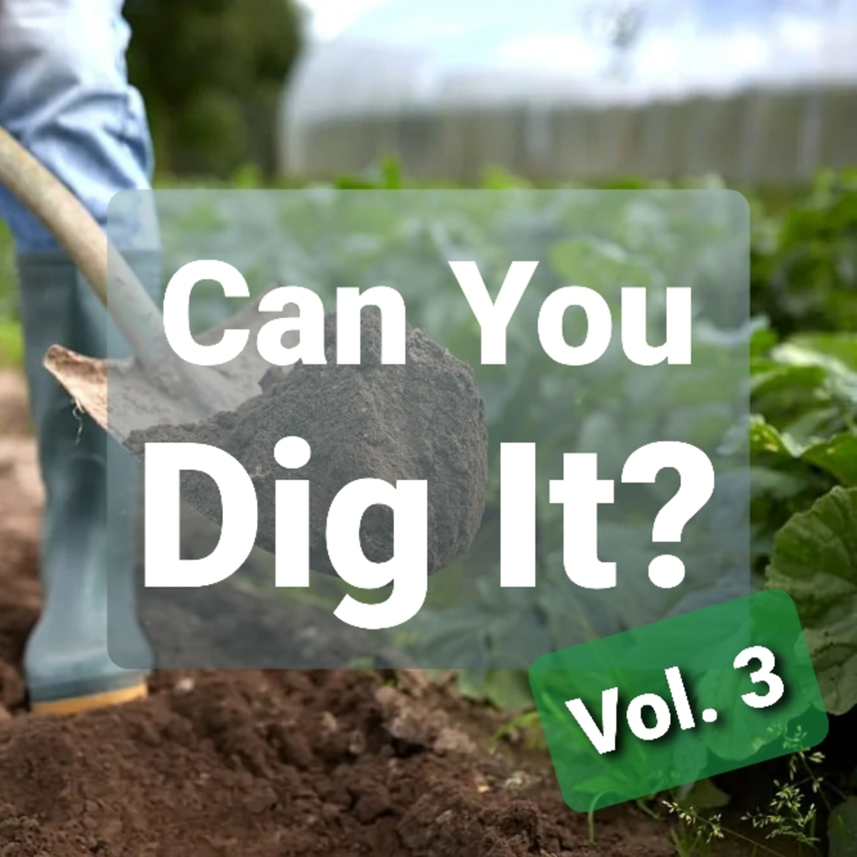 Ep. 29 - Can You Dig It? Vol. 3