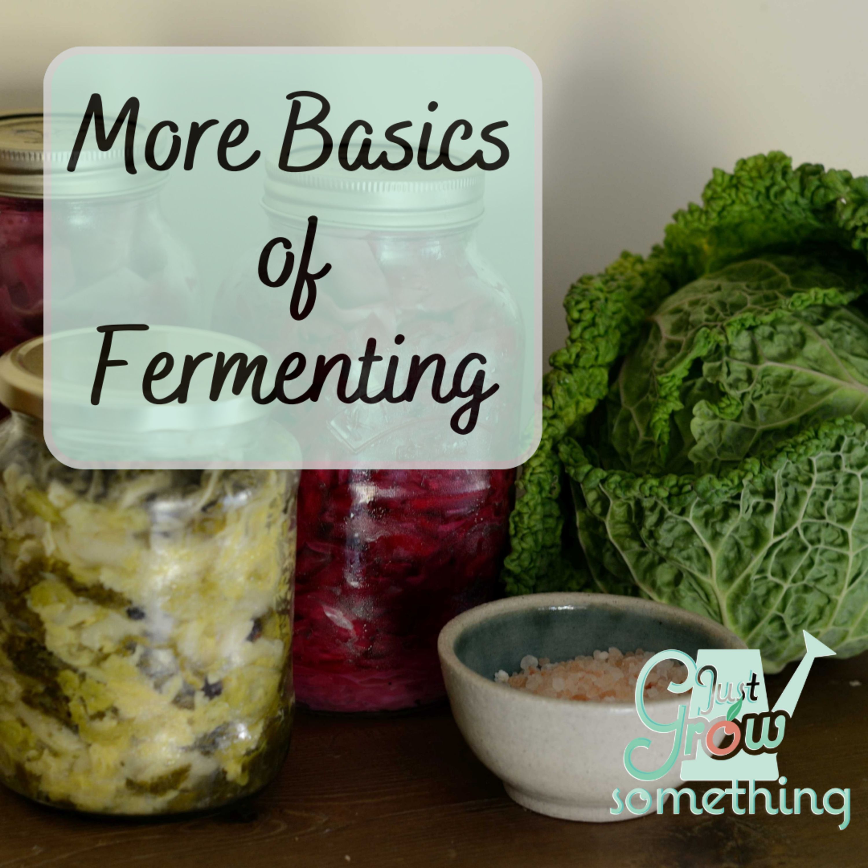 More Fermenting Basics - Focal Point Friday