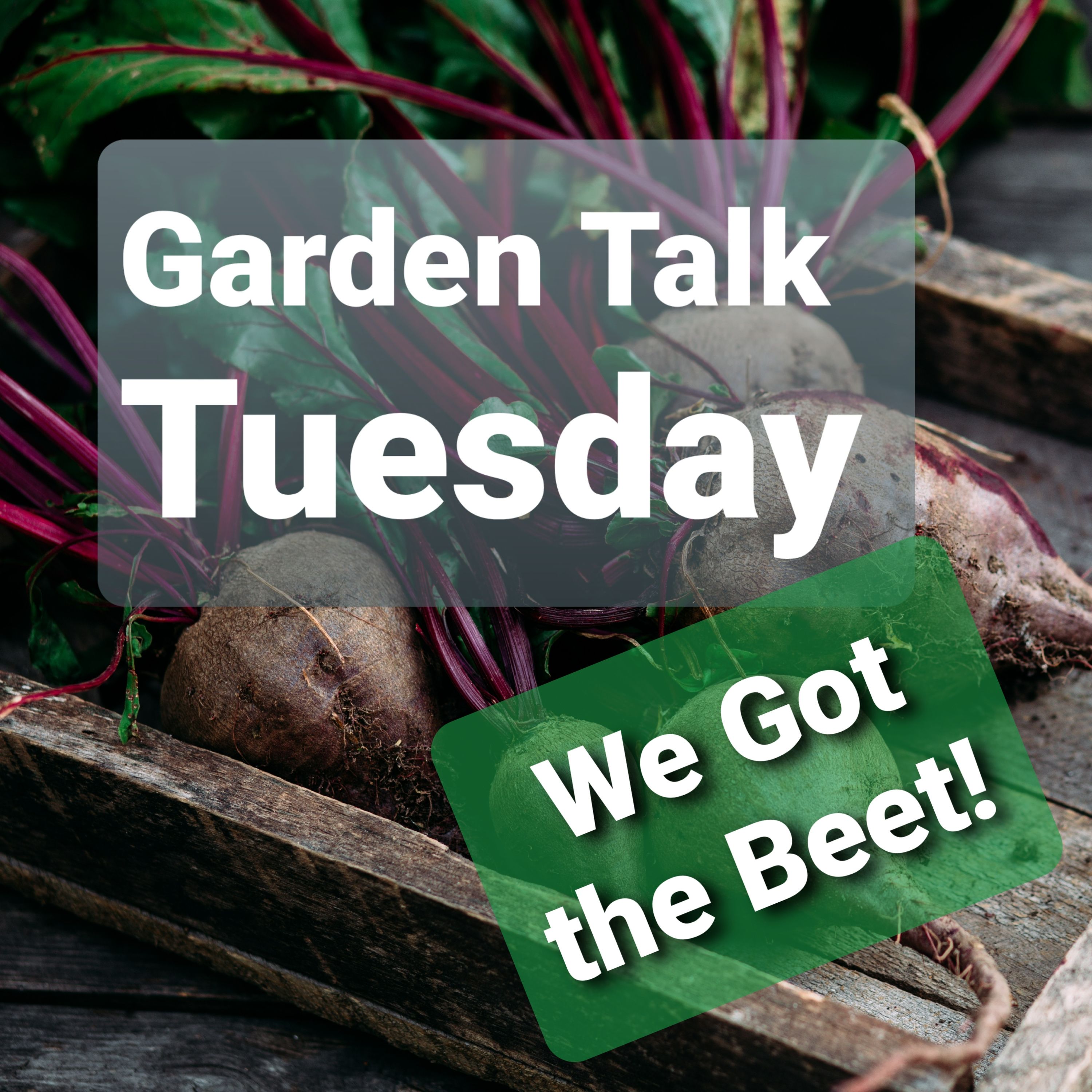 Ep. 48 - We Got the Beet!