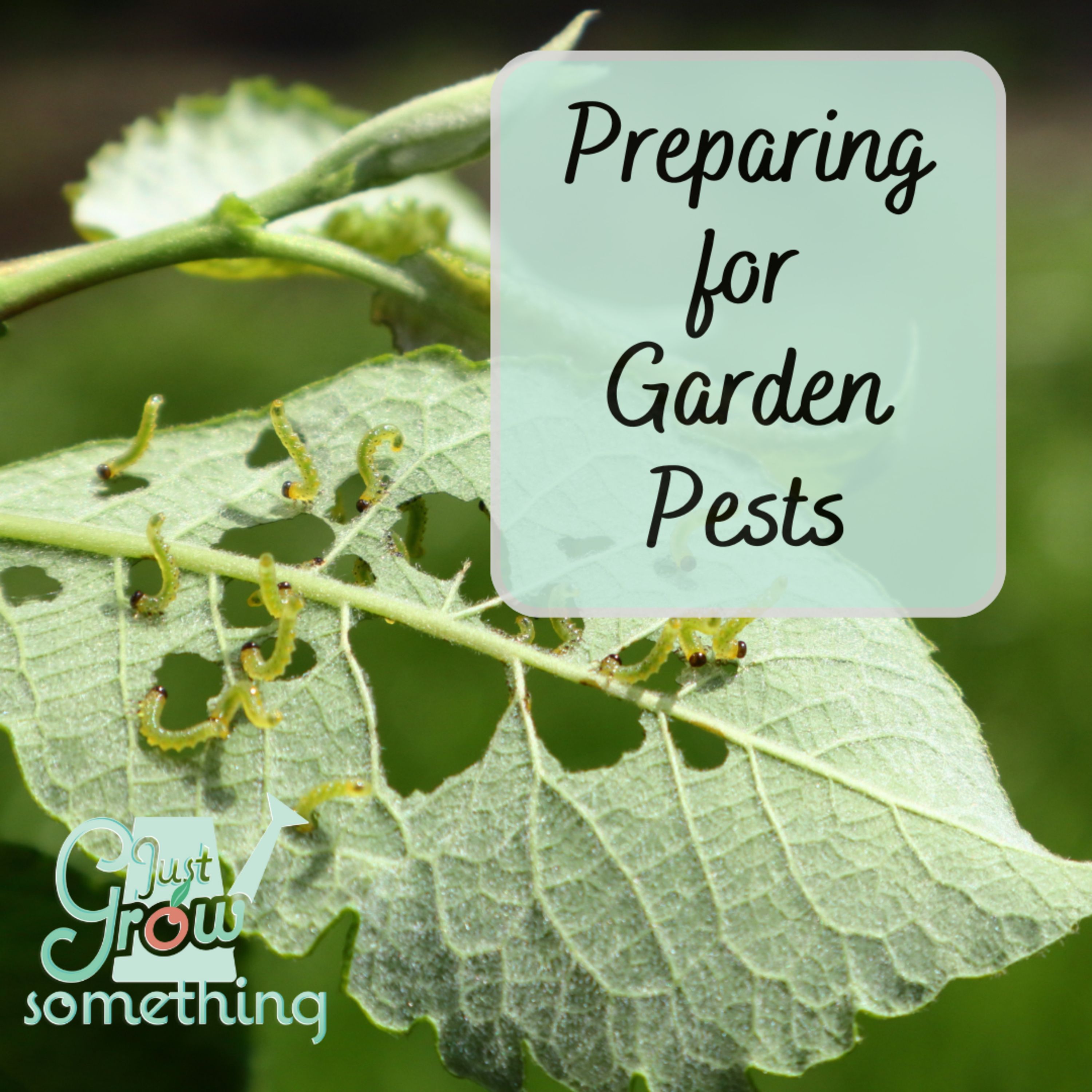 Be Prepared for Garden Pests – Ep. 245
