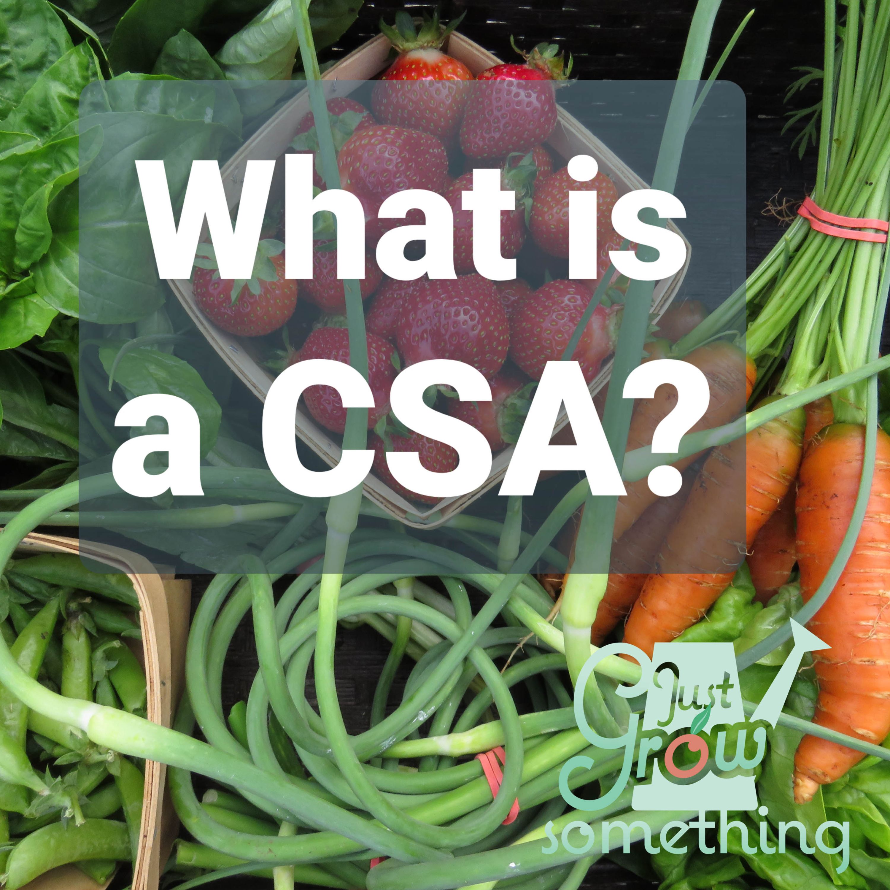 Ep. 69 - What is a CSA? And how is it different from a subscription service?