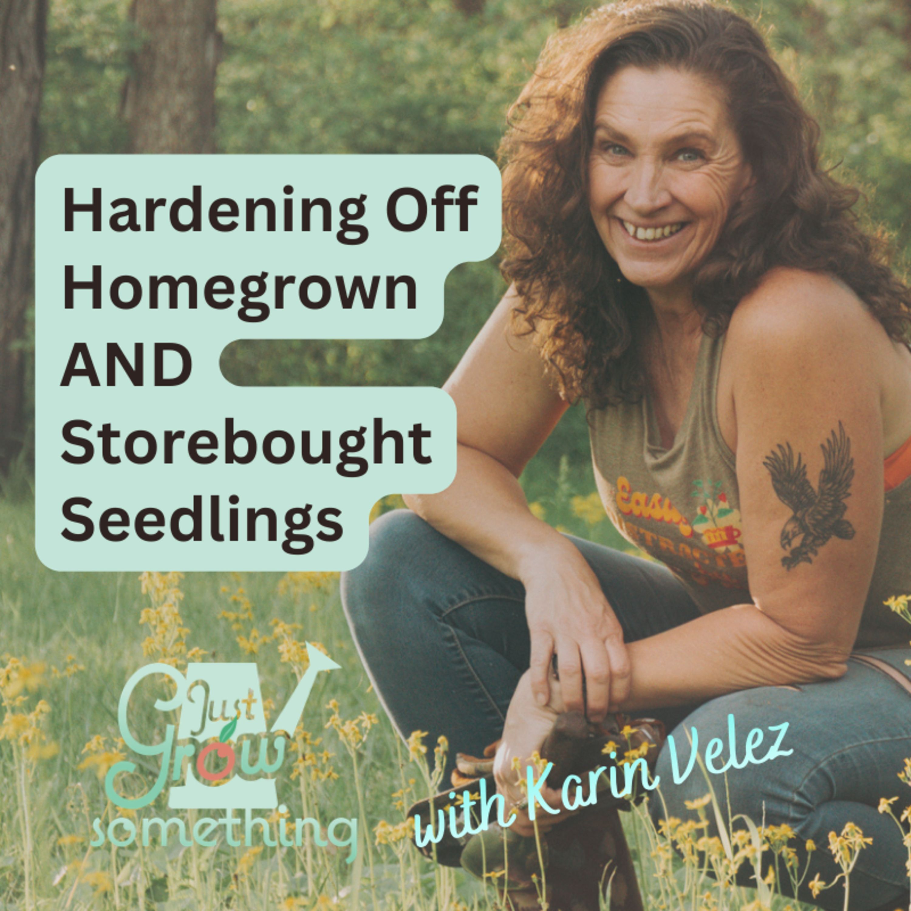 Hardening Off Homegrown AND Storebought Seedlings - Ep. 291