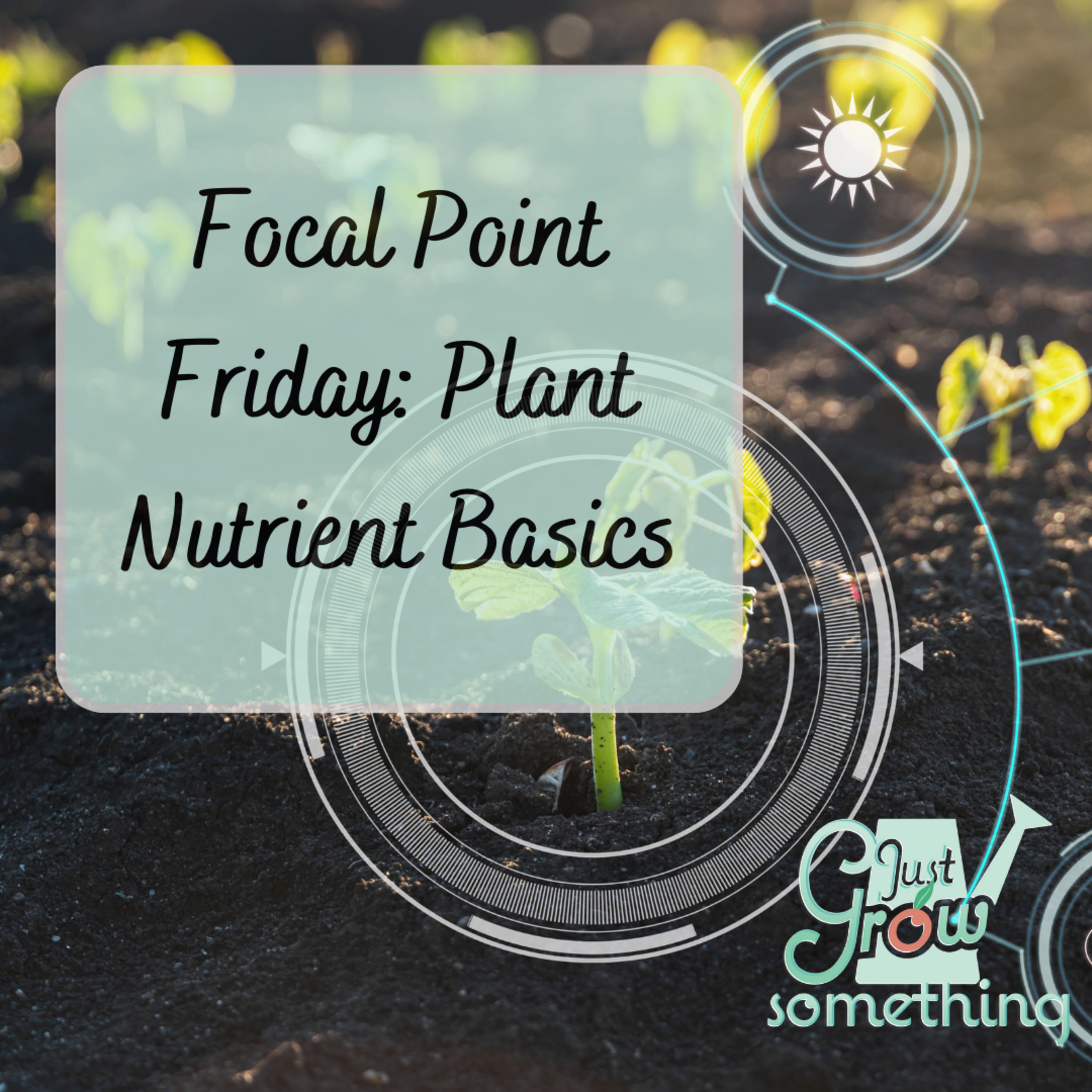 Focal Point Friday: Plant Nutrient Basics
