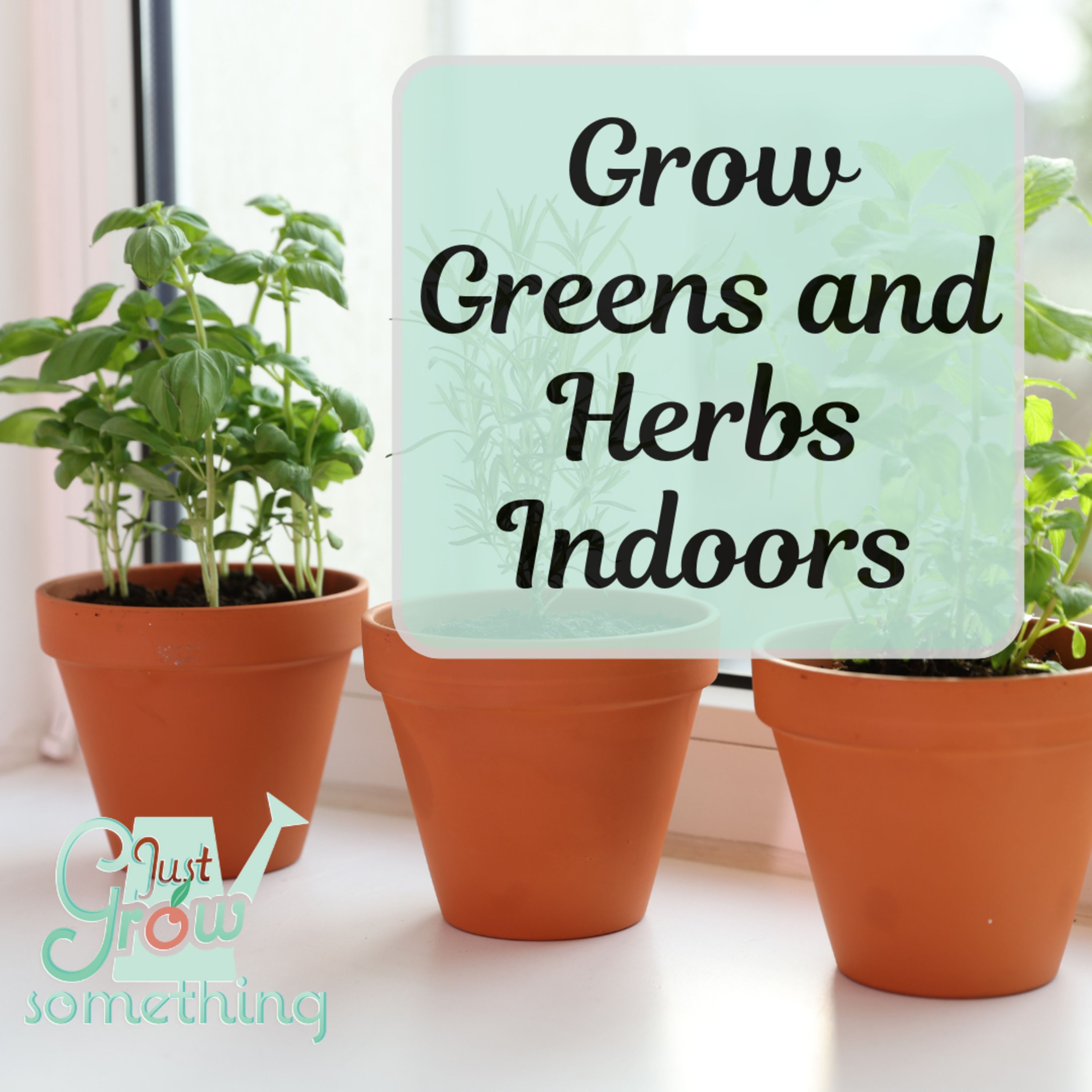 Indoor Greens and Herbs for the Winter - Ep. 278