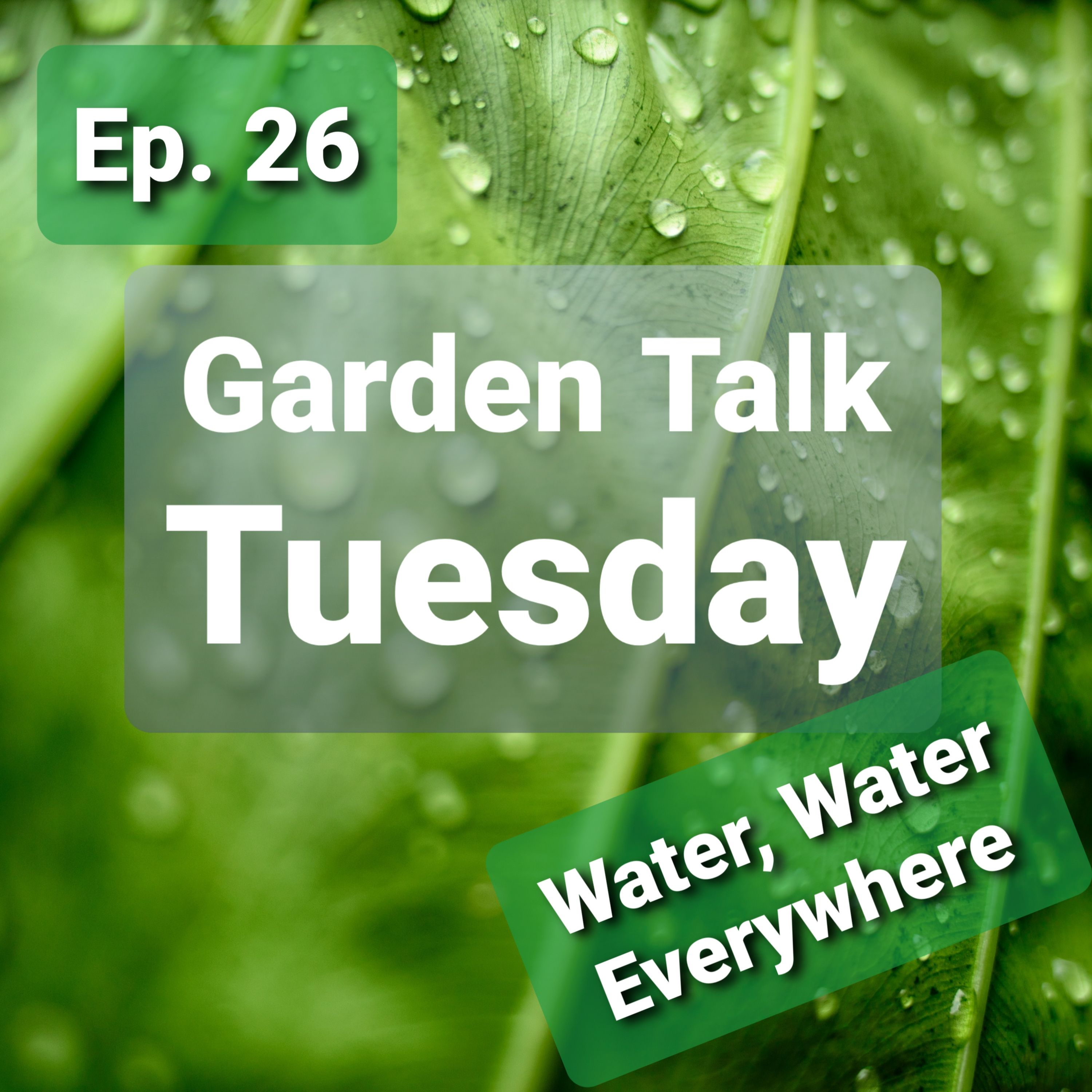 Ep. 26 - Garden Talk Tuesday: Water, Water Everywhere