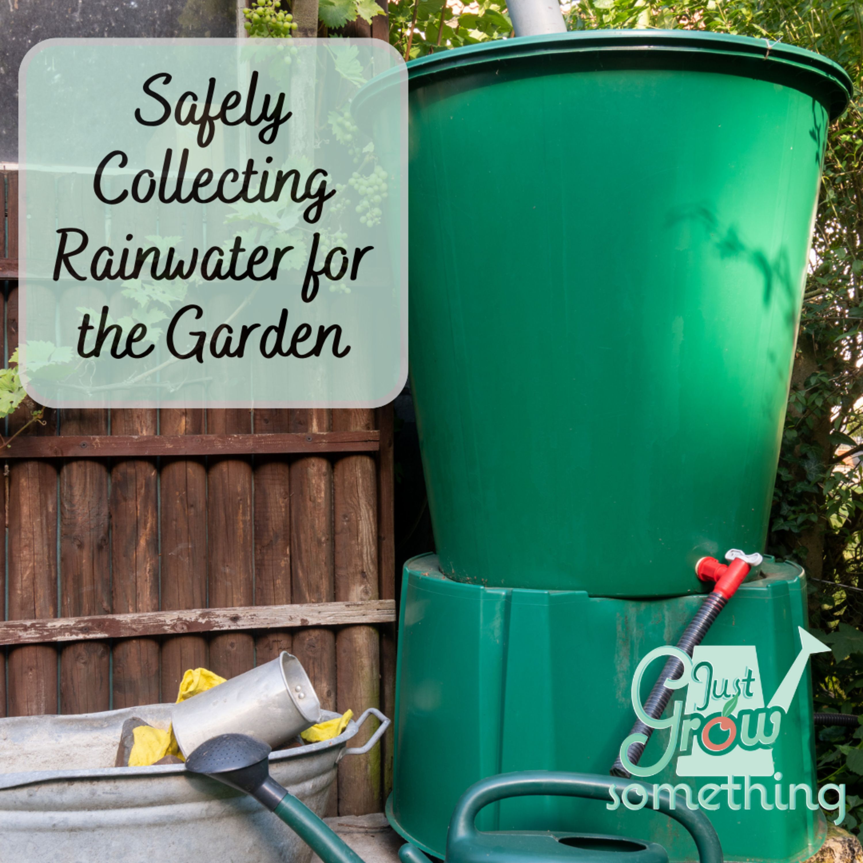 Safe Rainwater Collection: Beating Drought in Your Garden - Ep. 156