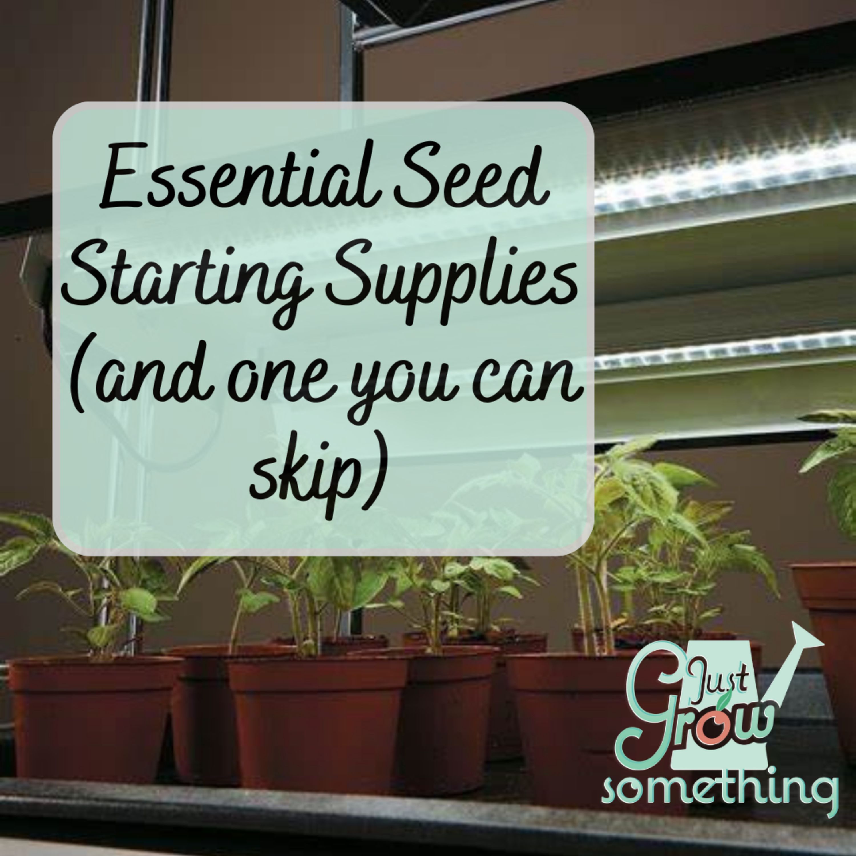 Essential Seed Starting Supplies (and one scam) - Ep. 236