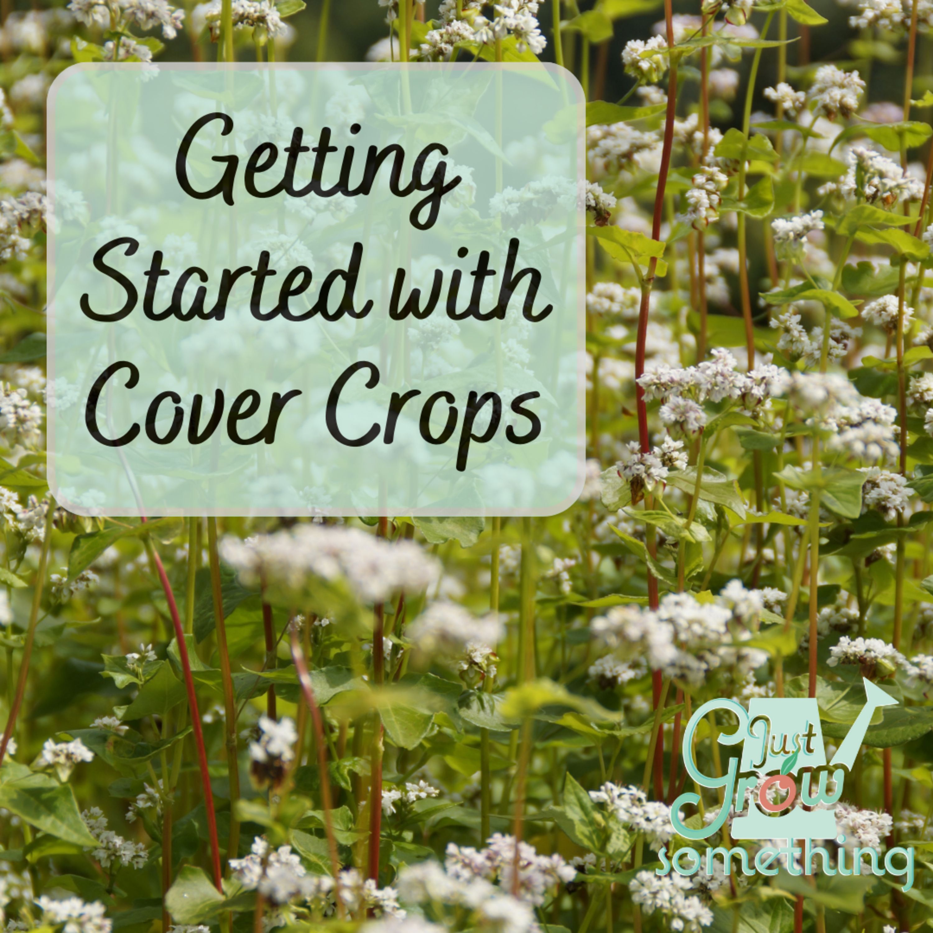 Getting Started with Cover Crops - Ep. 166