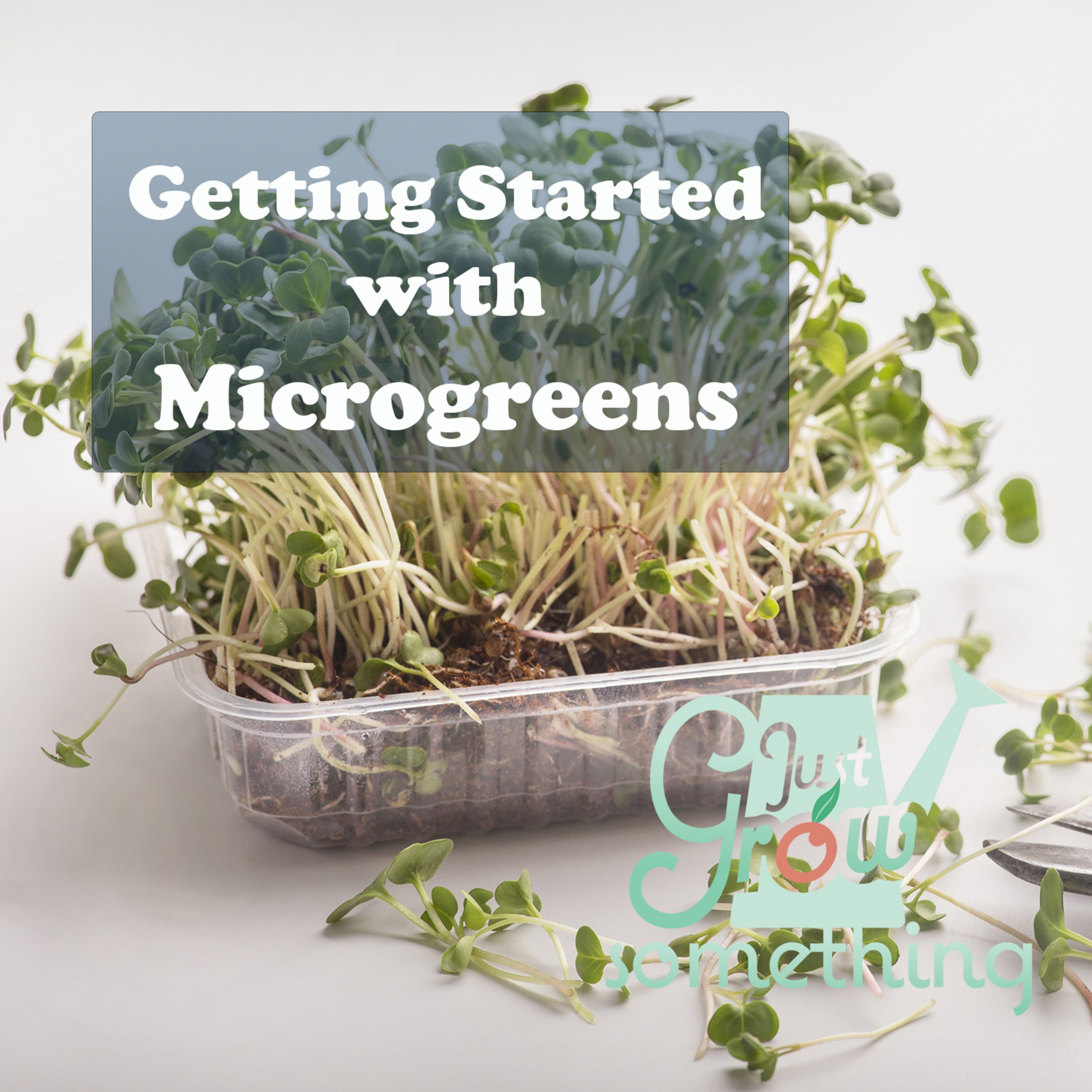 Ep. 70 - Getting Started with Microgreens