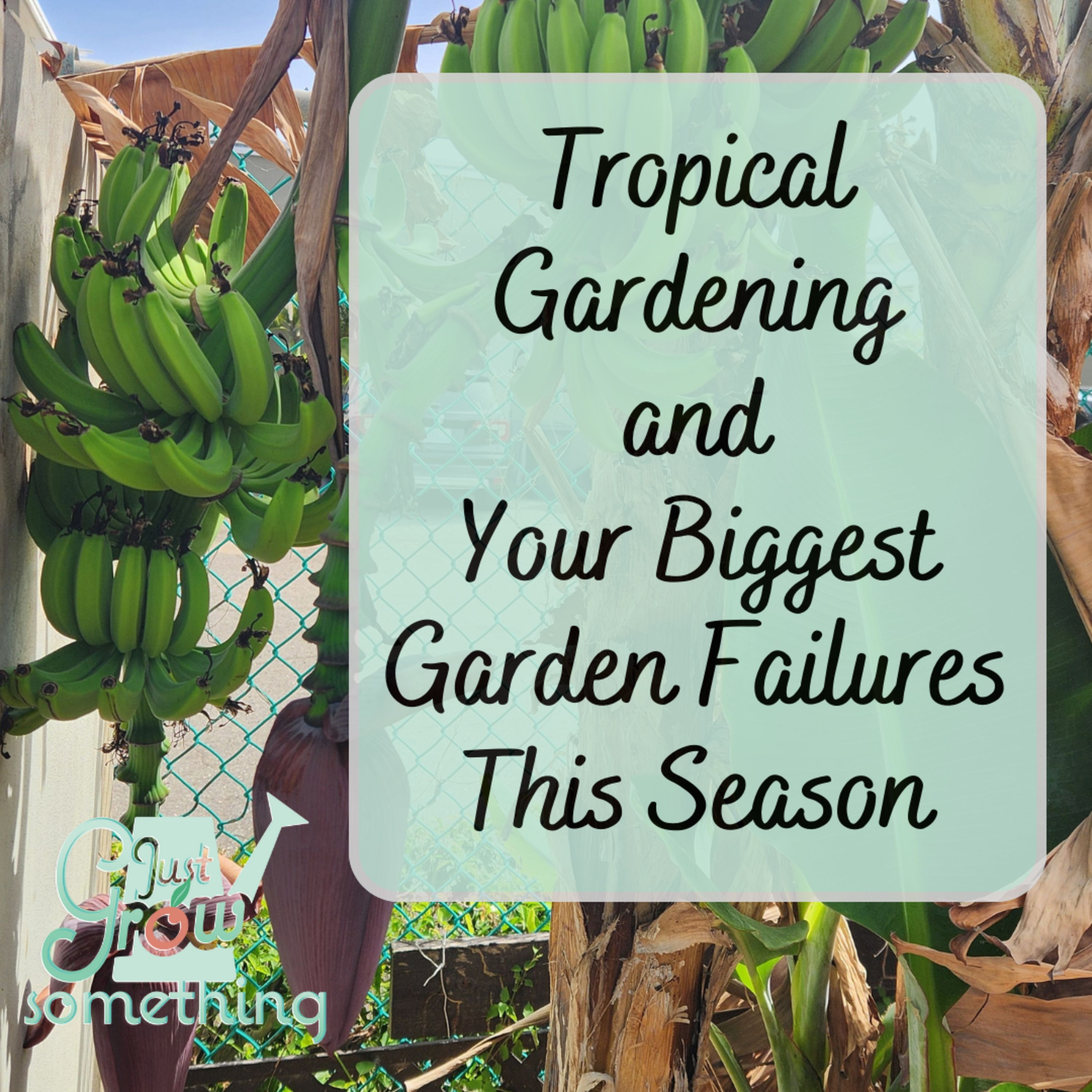 Tropical Gardening, Plus Your Biggest Garden Failures of the Season - Ep. 223