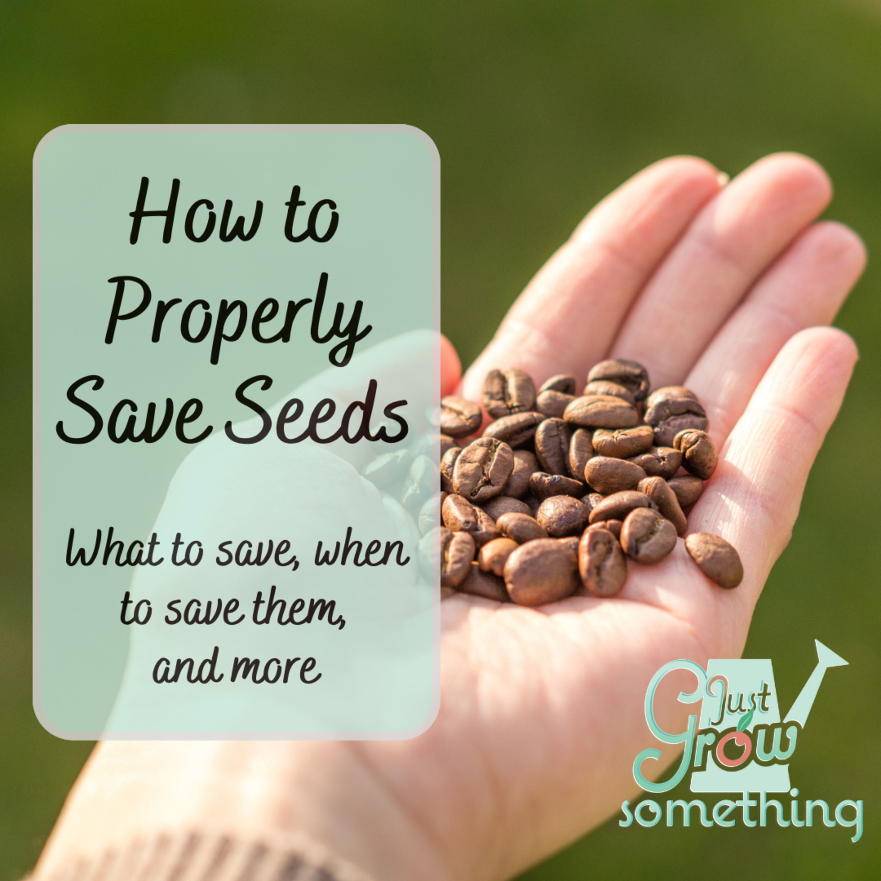 Saving Seeds Properly - Ep. 215