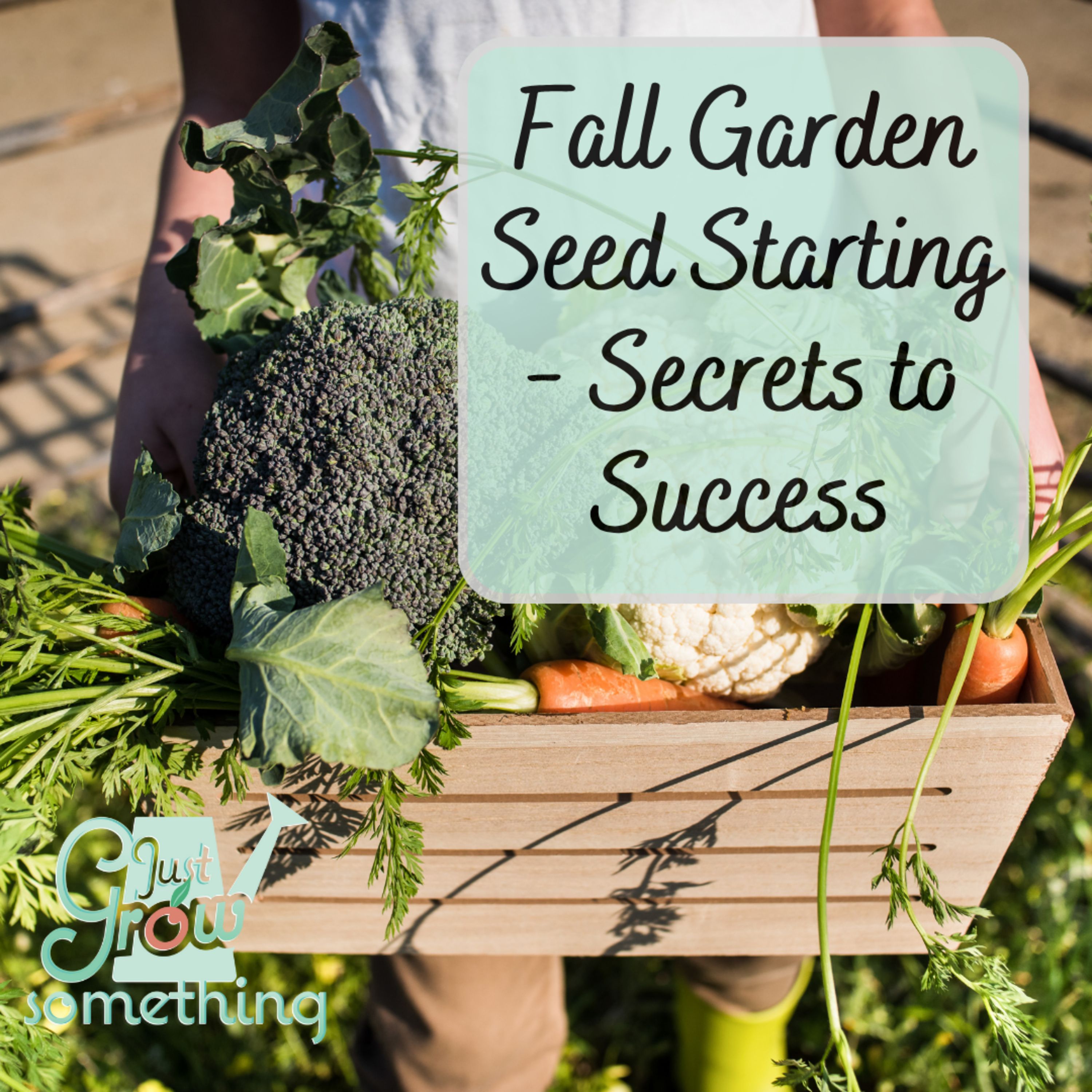 Fall Garden Seed Starting Secrets - Ep. 257