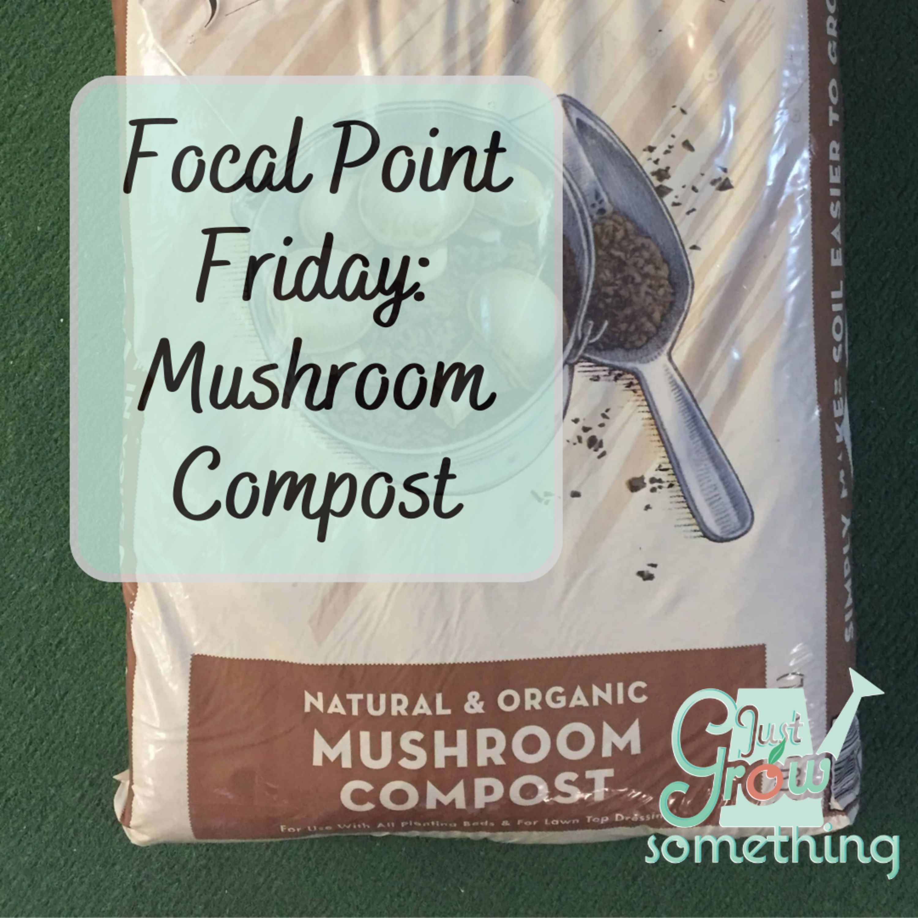 Focal Point Friday: Mushroom Compost