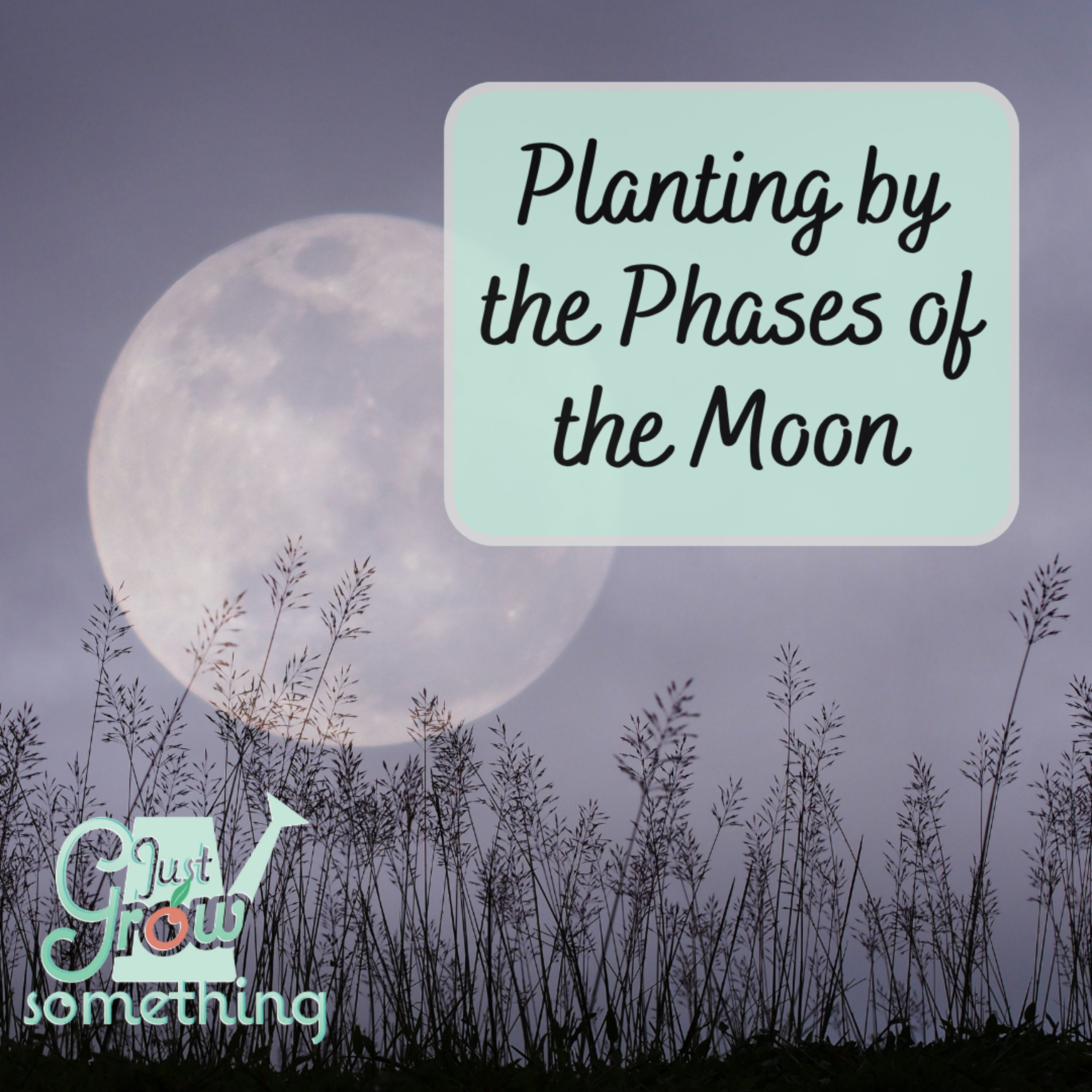 Planting by the Moon - Ep. 270