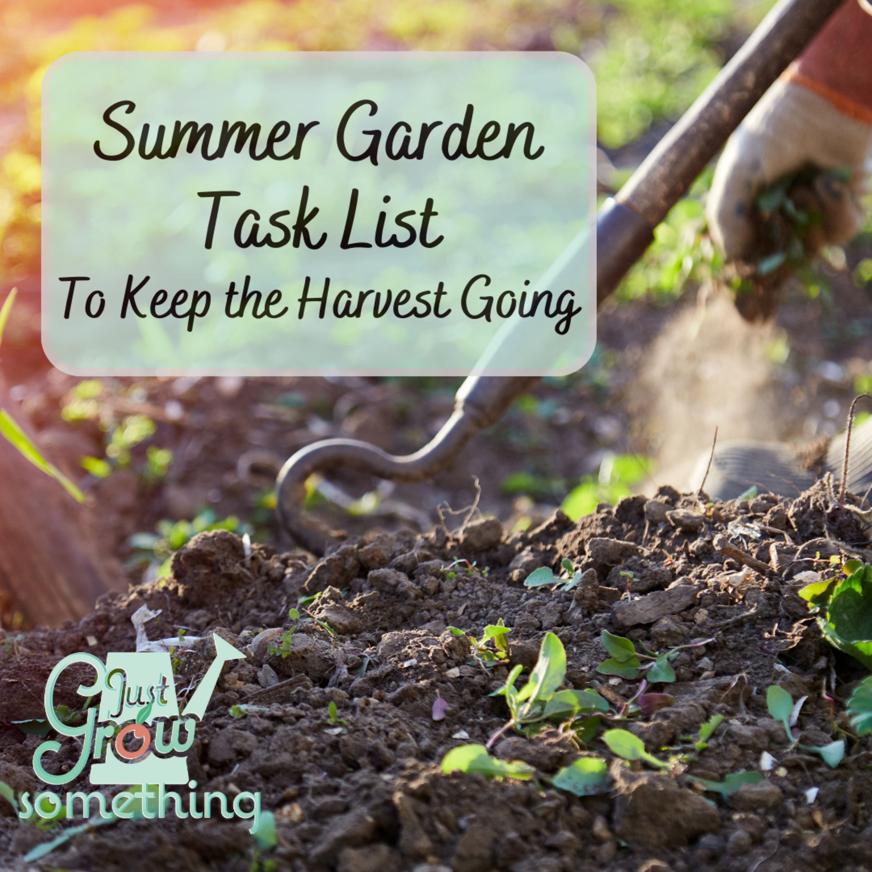 Summer Garden Checklist: Eight Tasks to Keep the Harvest Going - Ep. 154